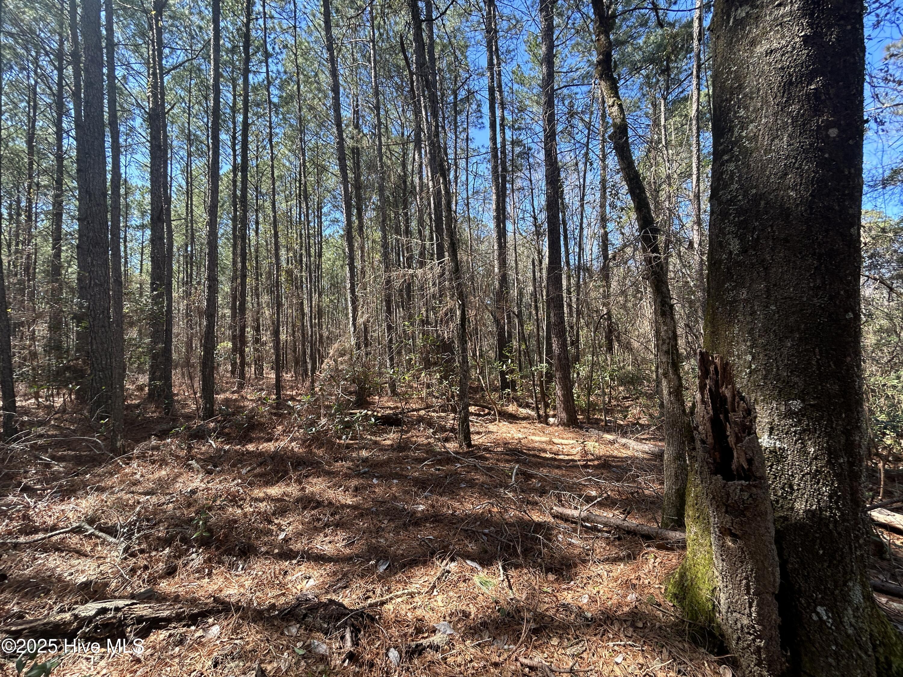 Tbd John Owen Road Property Photo 19