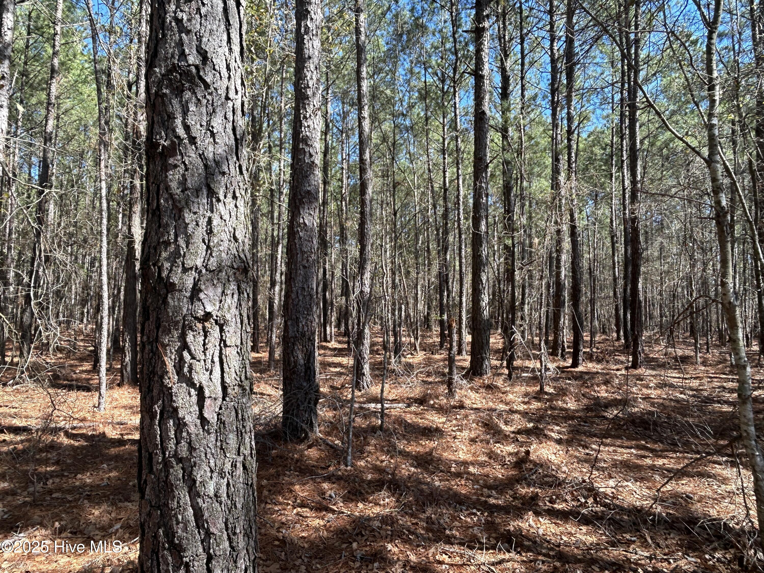 Tbd John Owen Road Property Photo 20