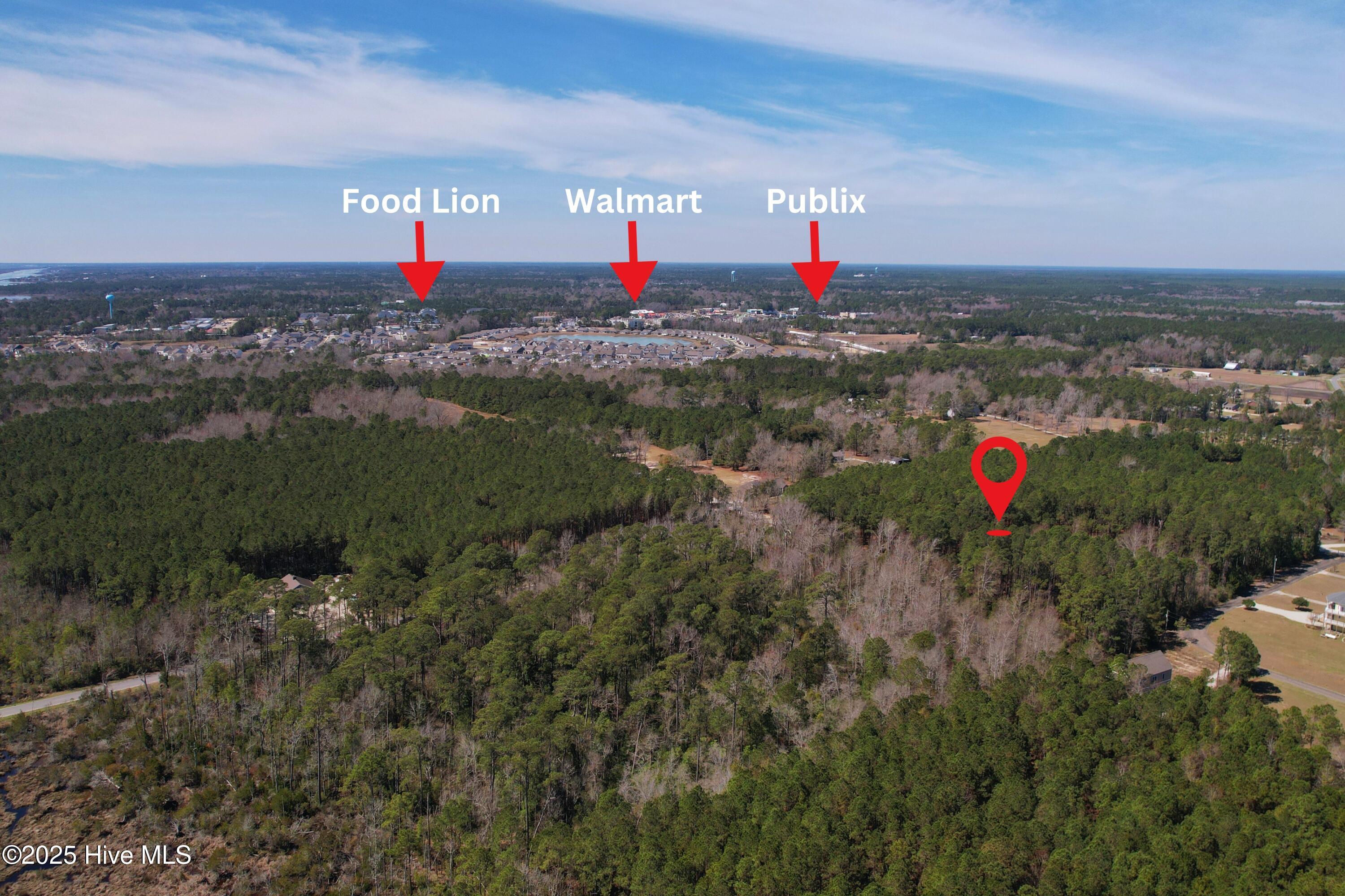 Tract 3 Old Landing Rd End Road Property Photo 8