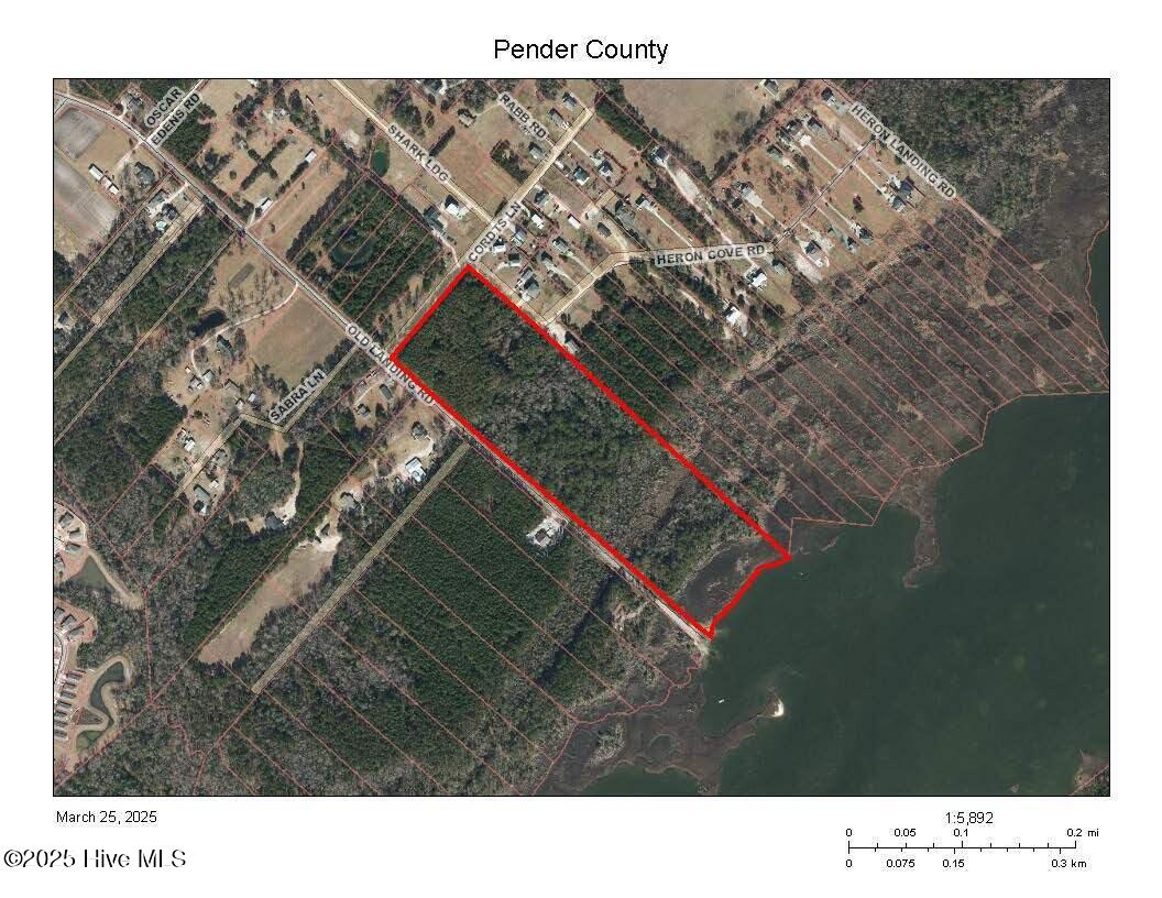 Tract 3 Old Landing Rd End Road Property Photo 12