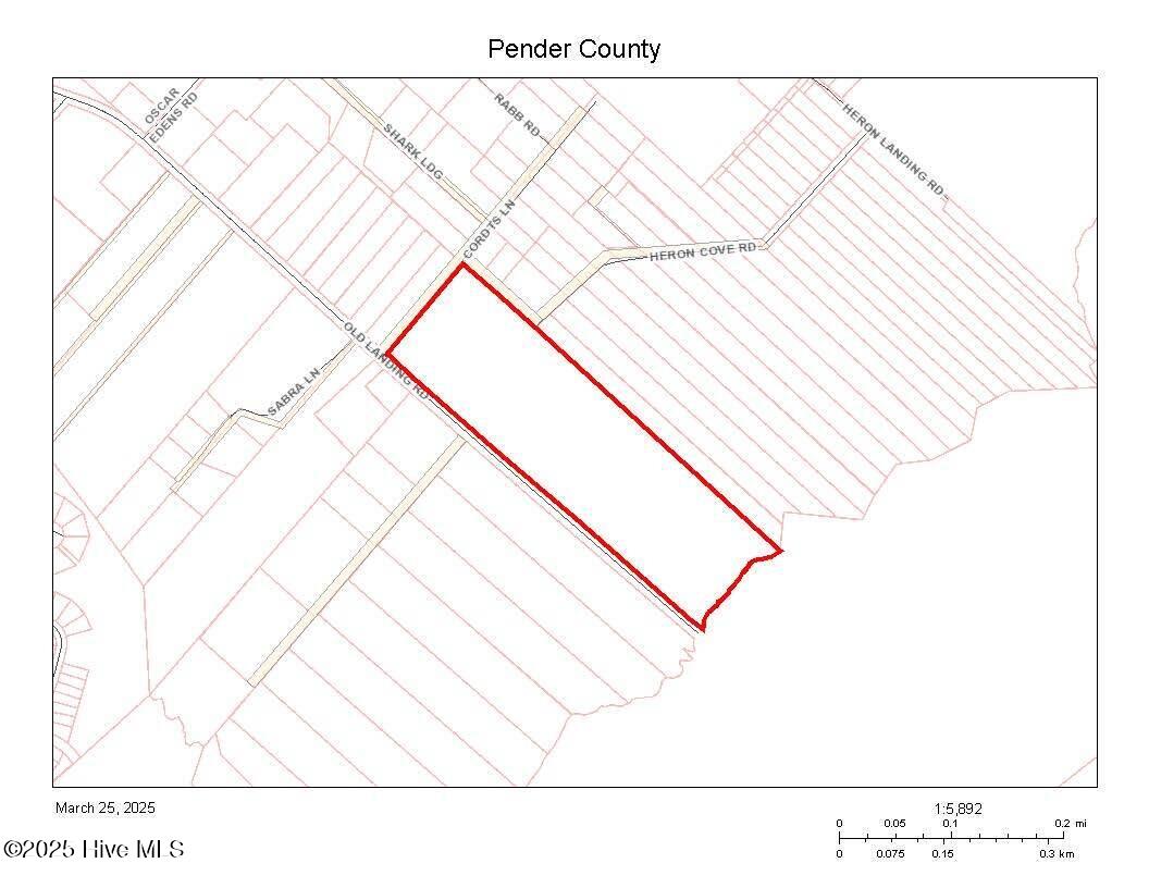 Tract 3 Old Landing Rd End Road Property Photo 14