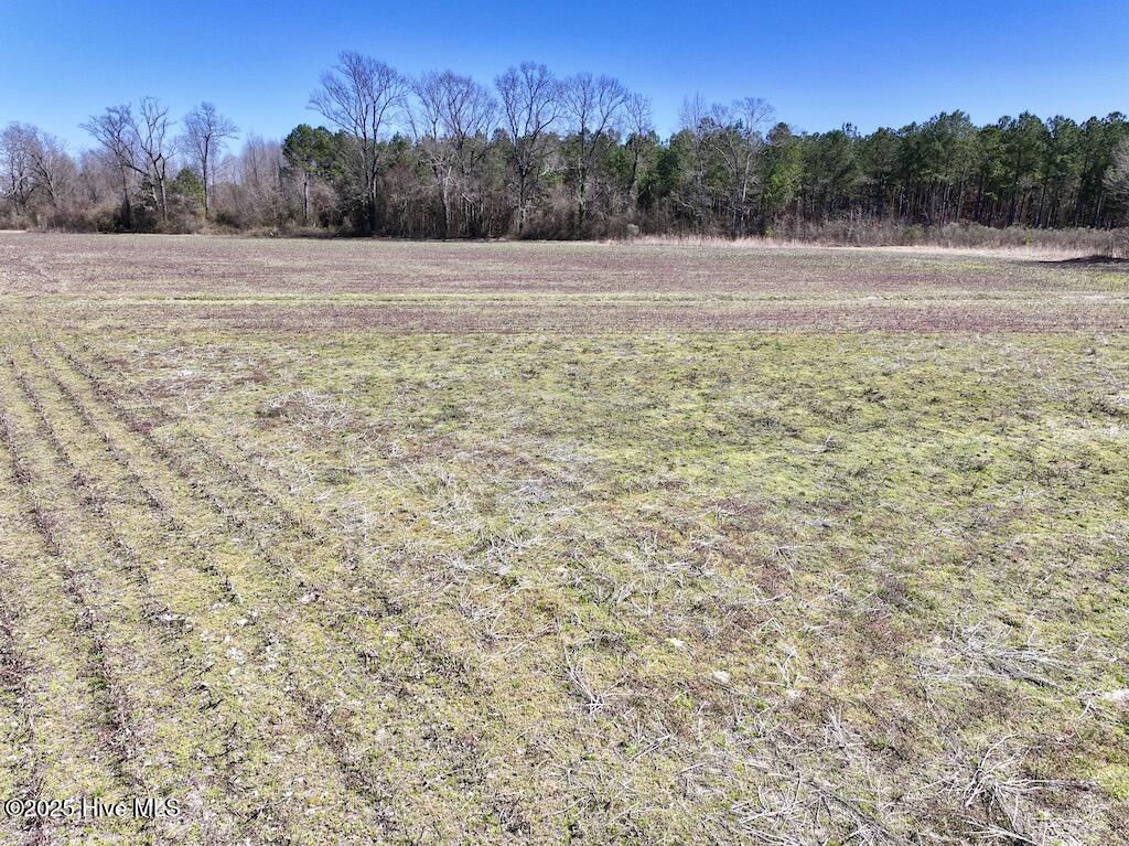 7725 Swift Creek School Road Property Photo 27