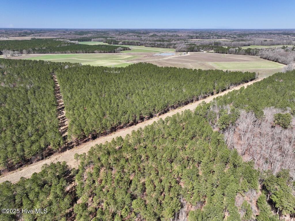 7725 Swift Creek School Road Property Photo 31