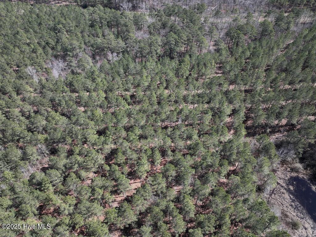 7725 Swift Creek School Road Property Photo 35