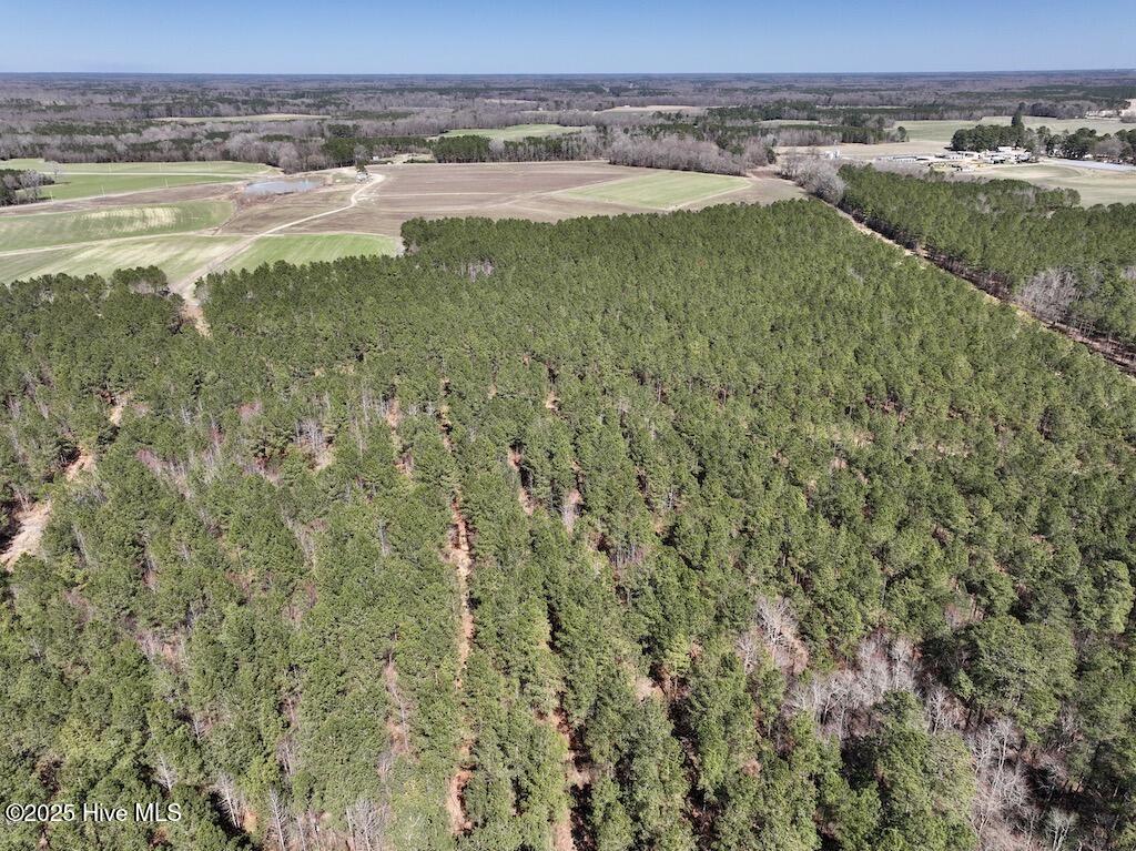7725 Swift Creek School Road Property Photo 36