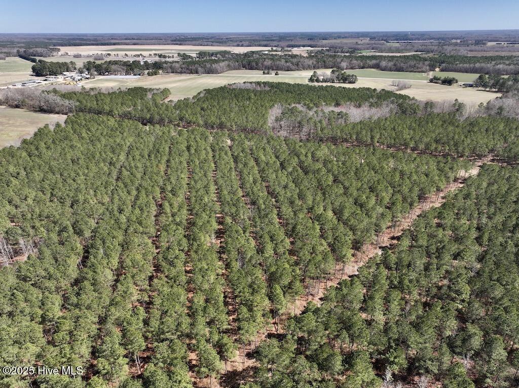 7725 Swift Creek School Road Property Photo 37