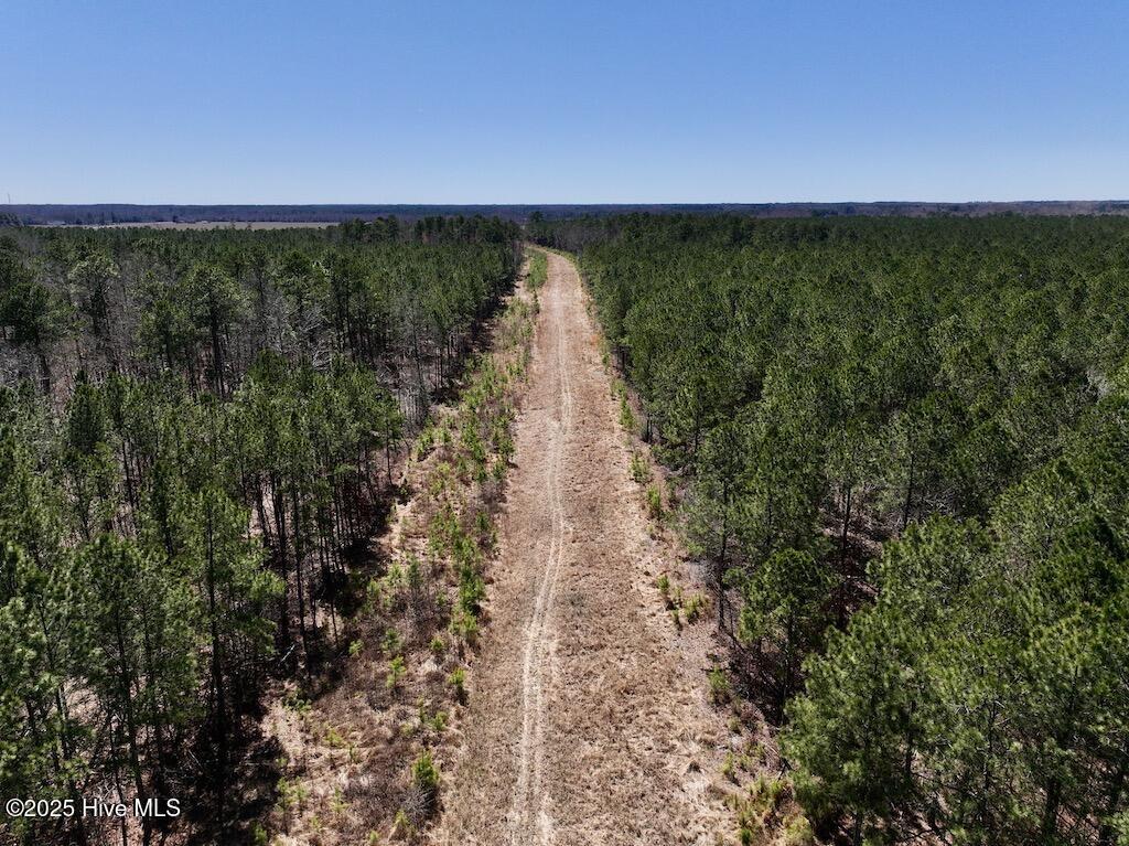 7725 Swift Creek School Road Property Photo 44
