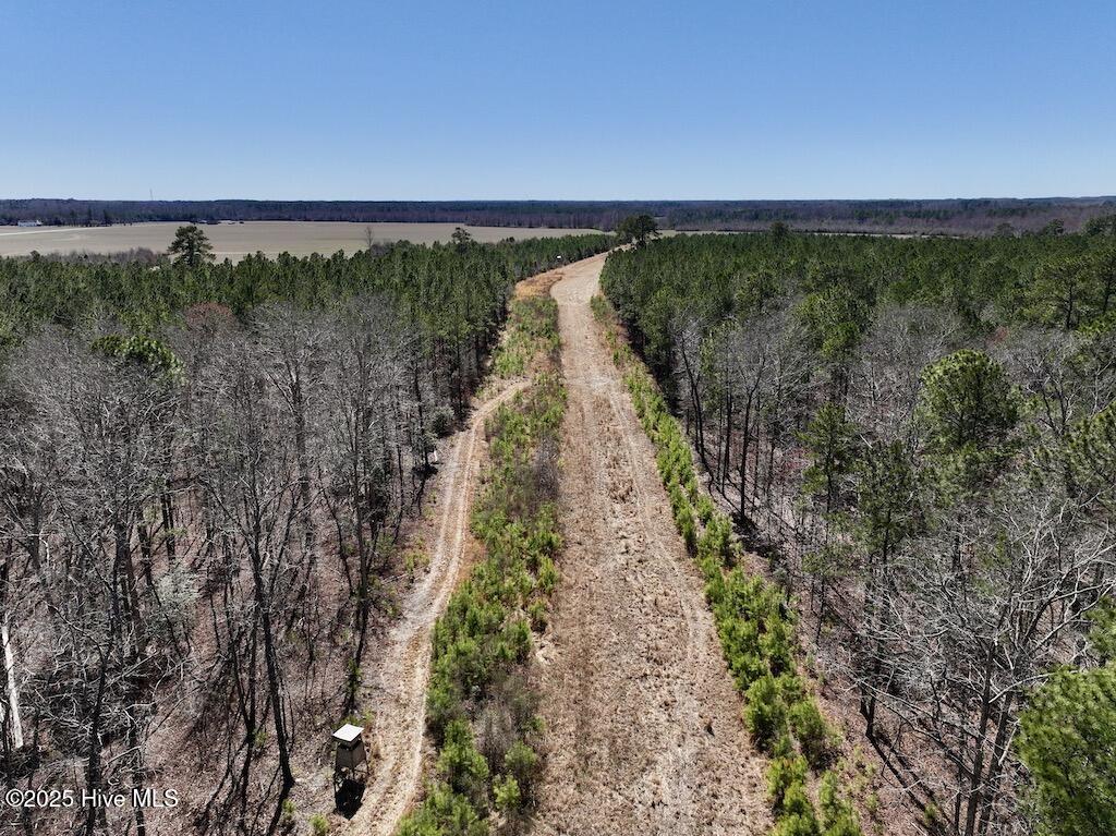 7725 Swift Creek School Road Property Photo 45