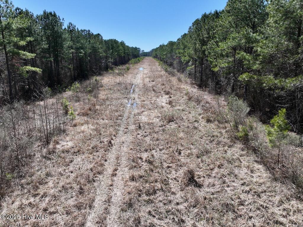 7725 Swift Creek School Road Property Photo 46