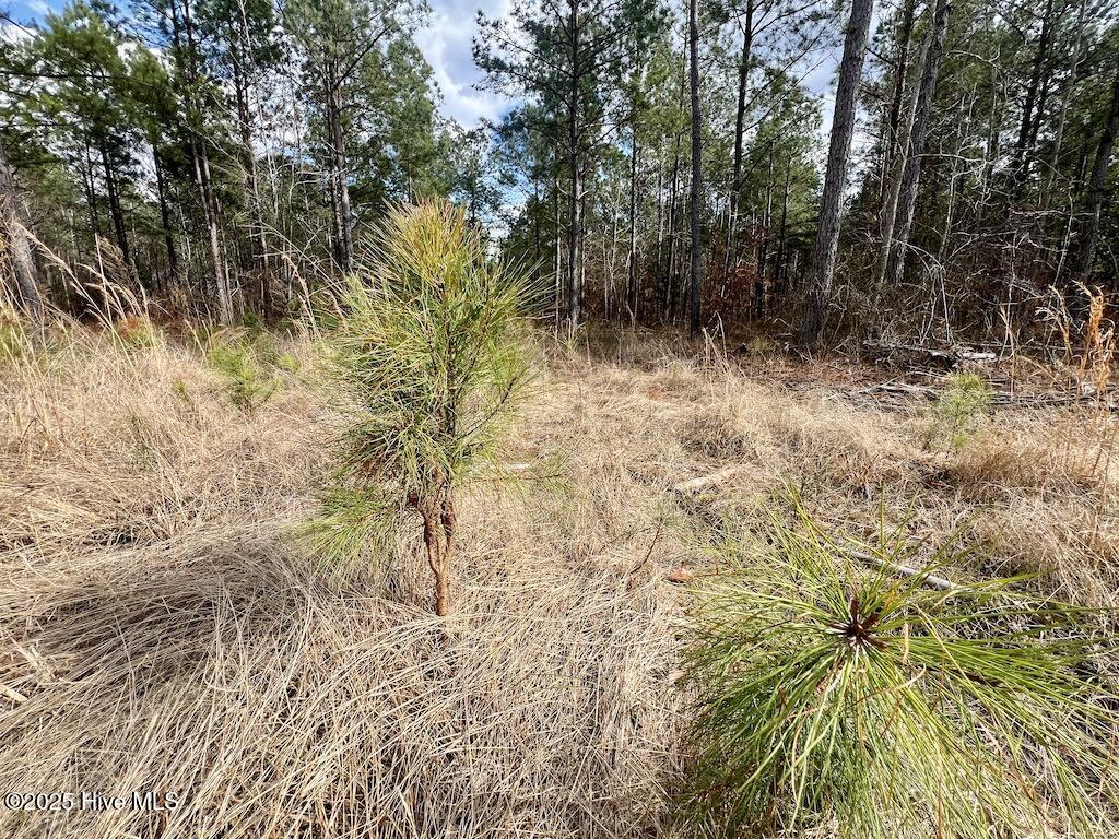 7725 Swift Creek School Road Property Photo 49