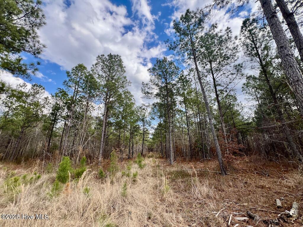 7725 Swift Creek School Road Property Photo 50