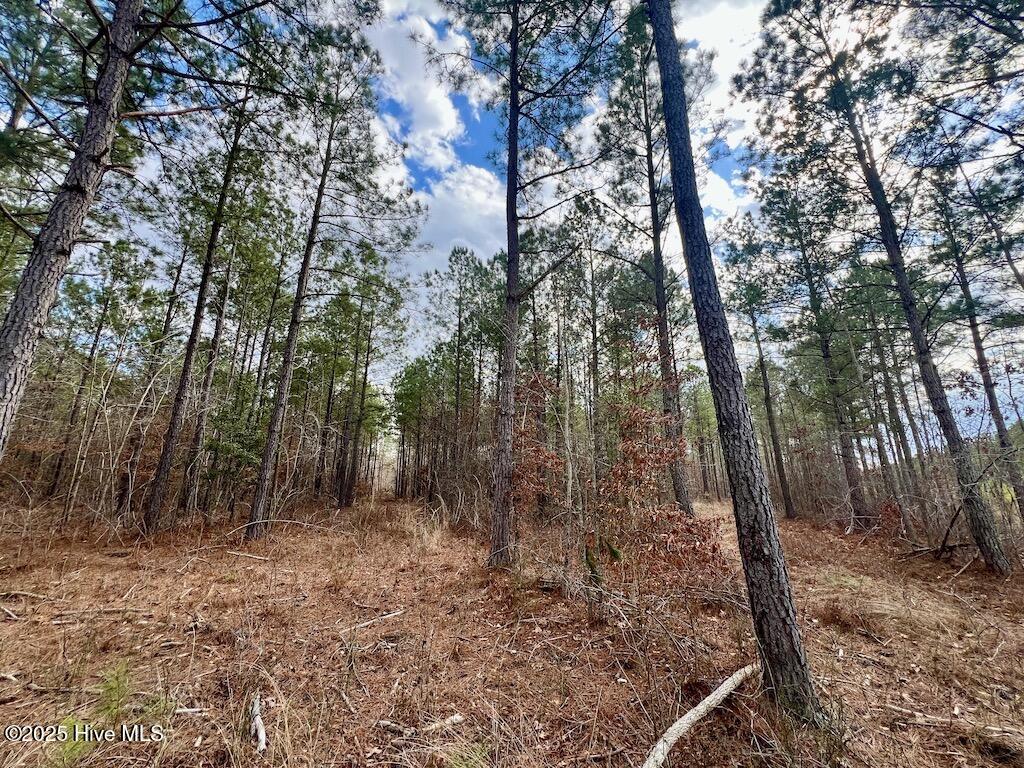 7725 Swift Creek School Road Property Photo 51