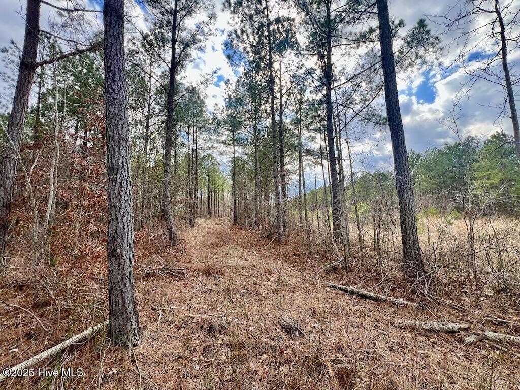 7725 Swift Creek School Road Property Photo 52