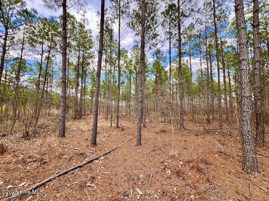 7725 Swift Creek School Road Property Photo 53