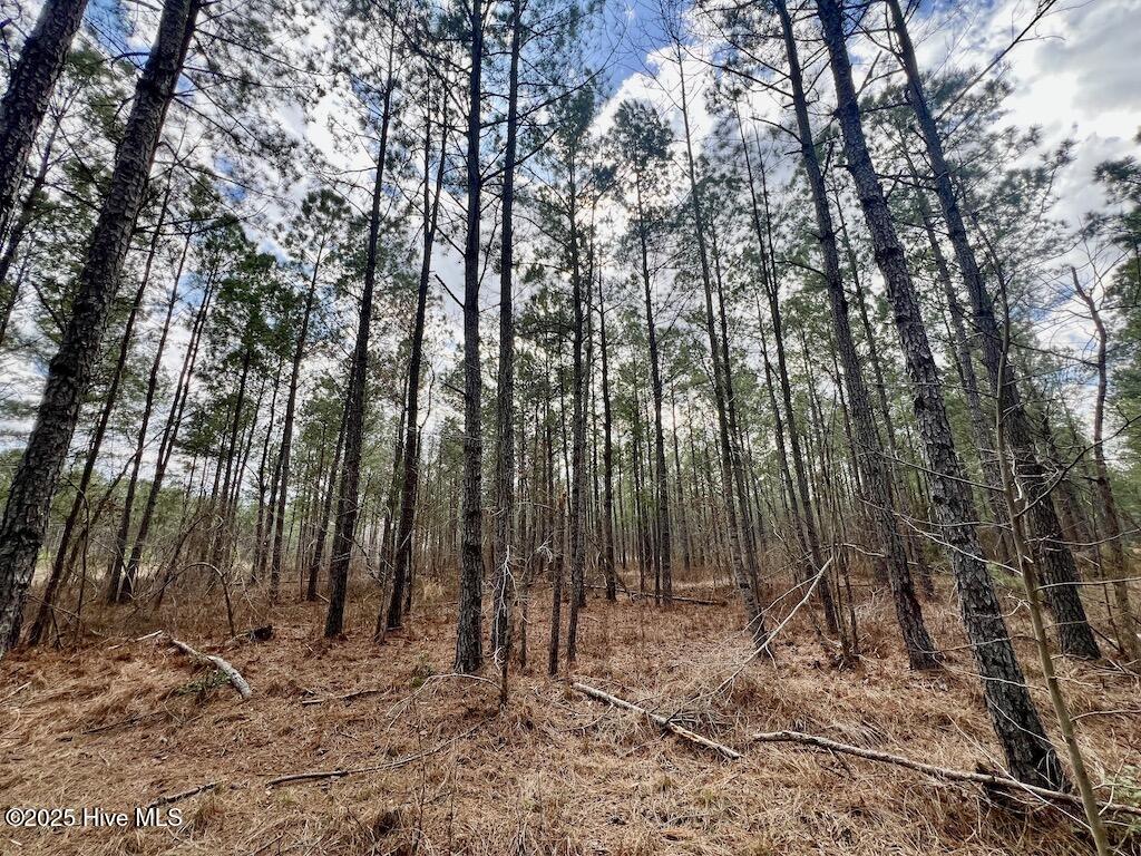 7725 Swift Creek School Road Property Photo 54