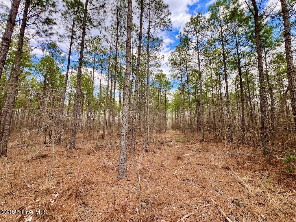 7725 Swift Creek School Road Property Photo 55