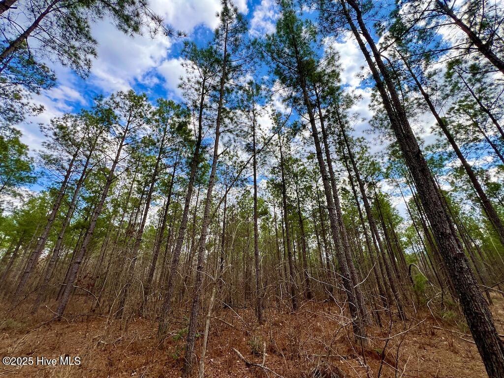 7725 Swift Creek School Road Property Photo 56