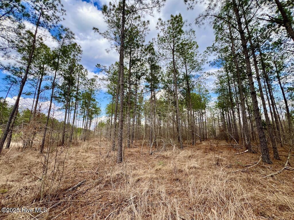 7725 Swift Creek School Road Property Photo 57