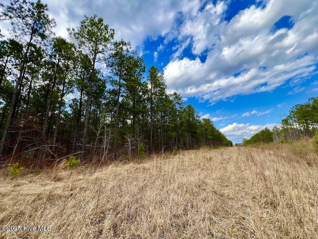 7725 Swift Creek School Road Property Photo 58