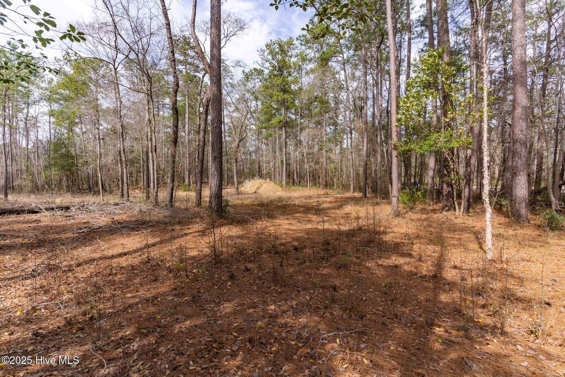 Tr 7d Shaw Highway Property Photo 7