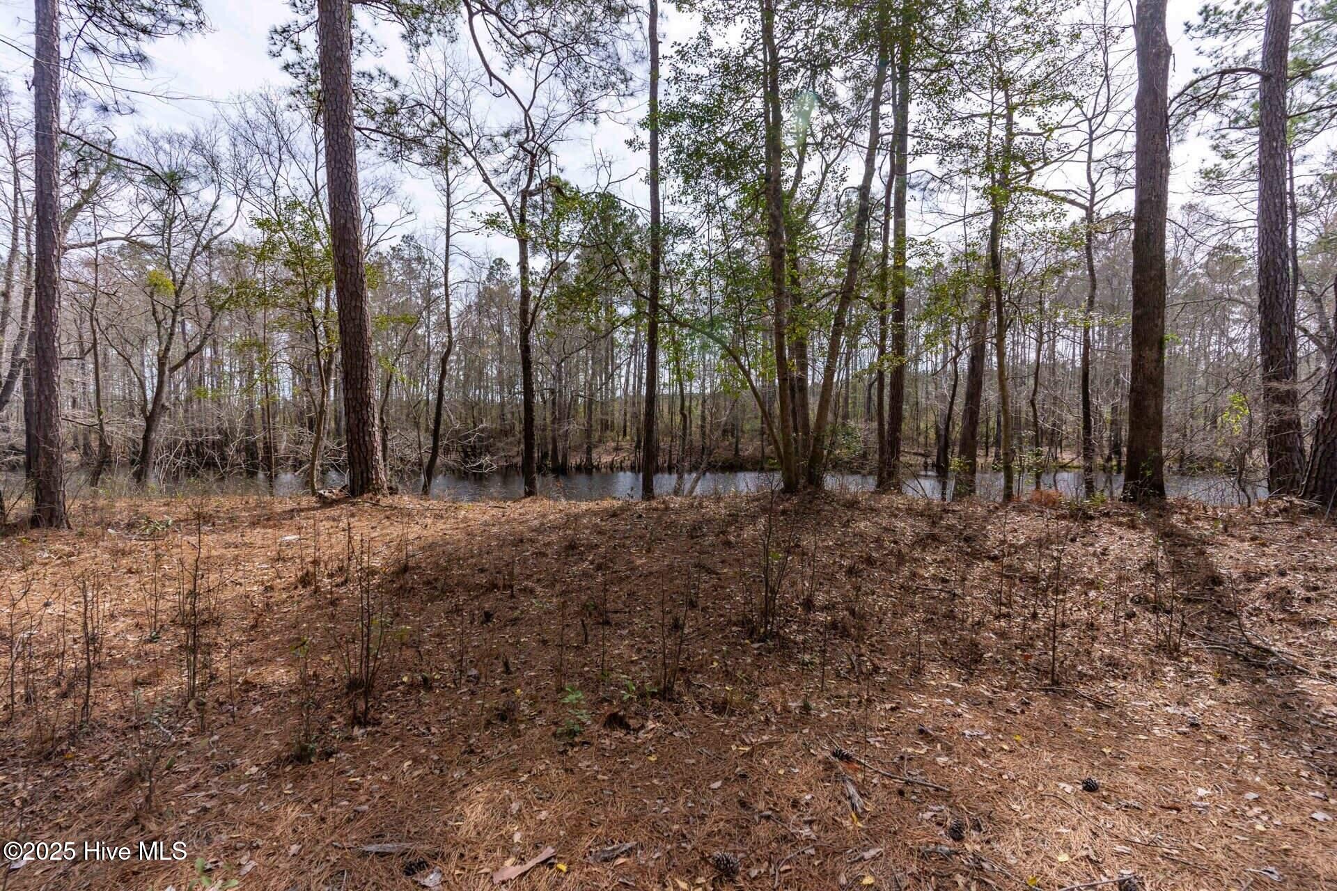 Tr 7d Shaw Highway Property Photo 8