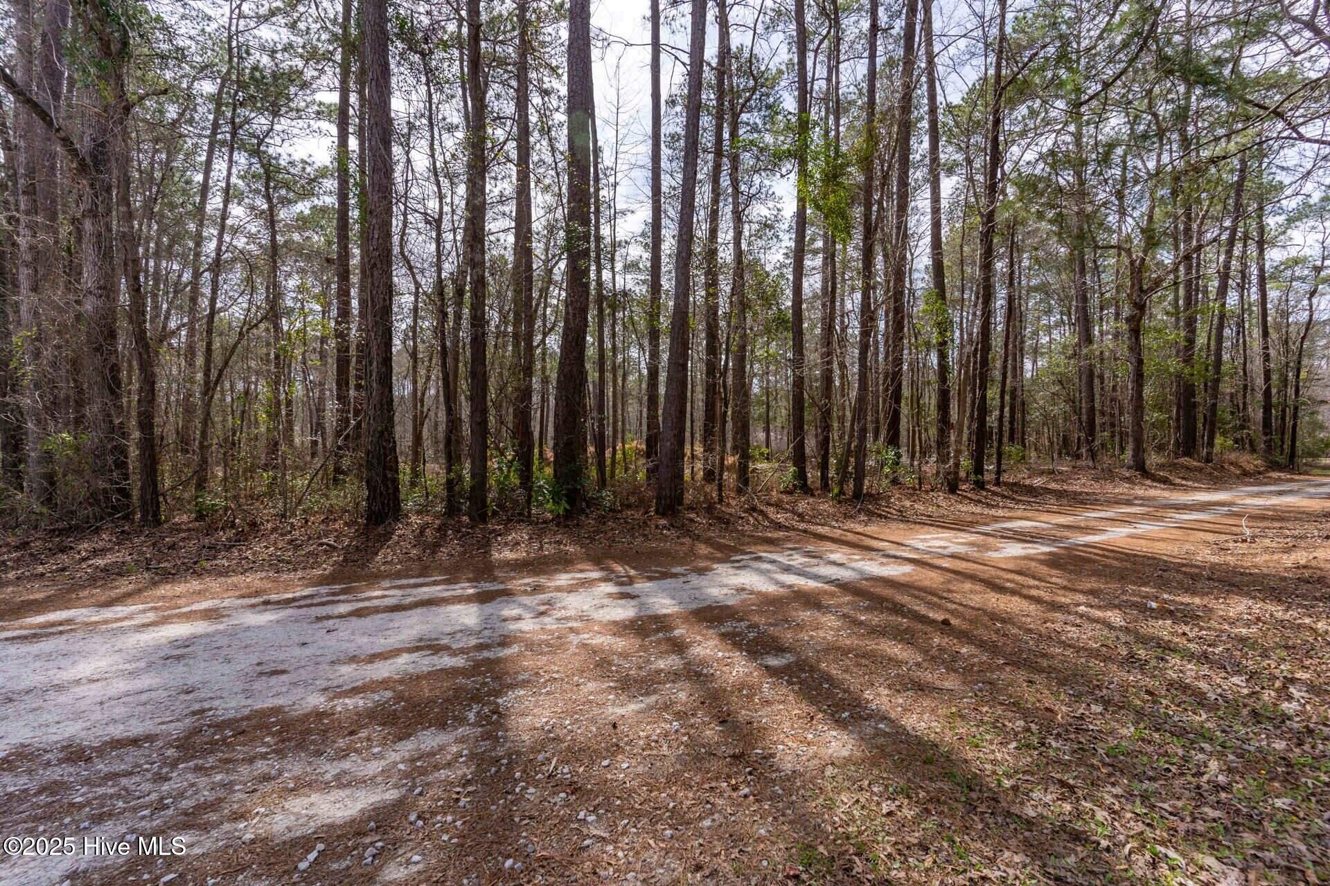 Tr 7d Shaw Highway Property Photo 9