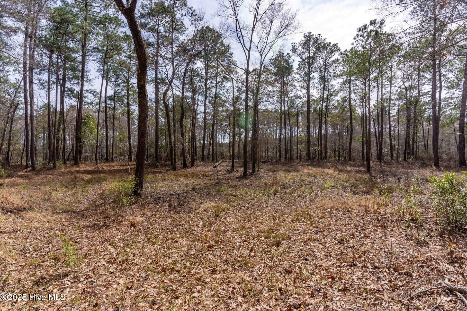Tr 7d Shaw Highway Property Photo 12