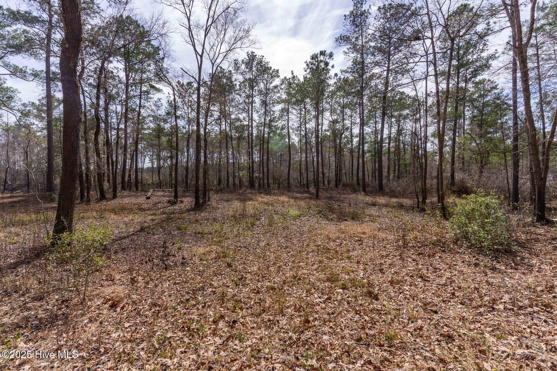 Tr 7d Shaw Highway Property Photo 13