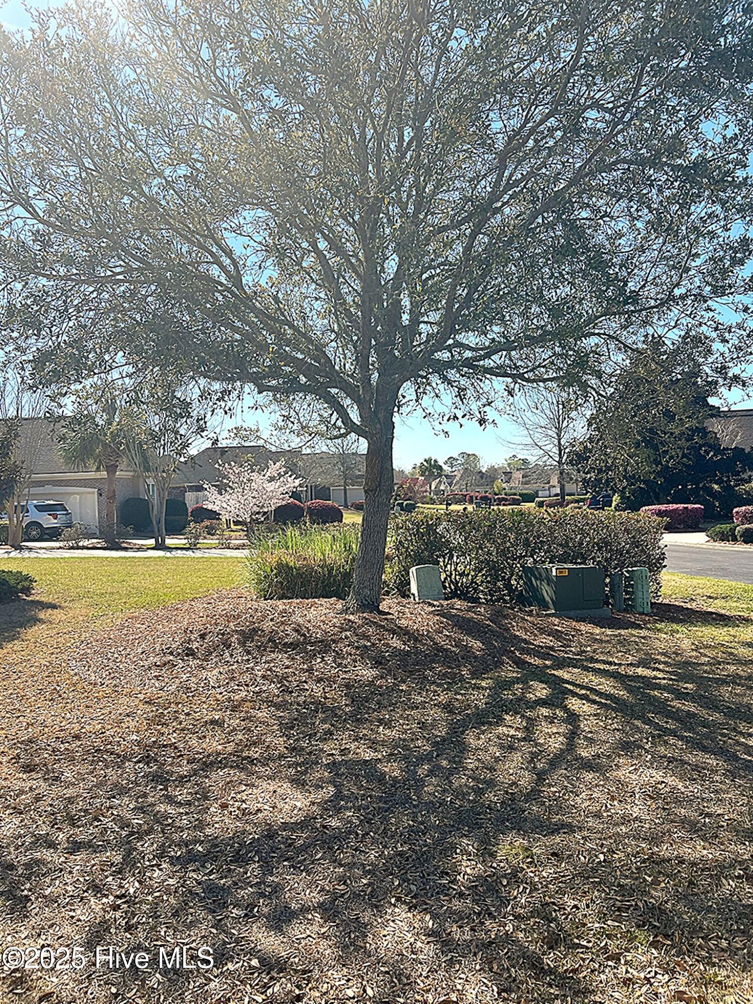 7016 Bloomsbury Court Property Photo 13
