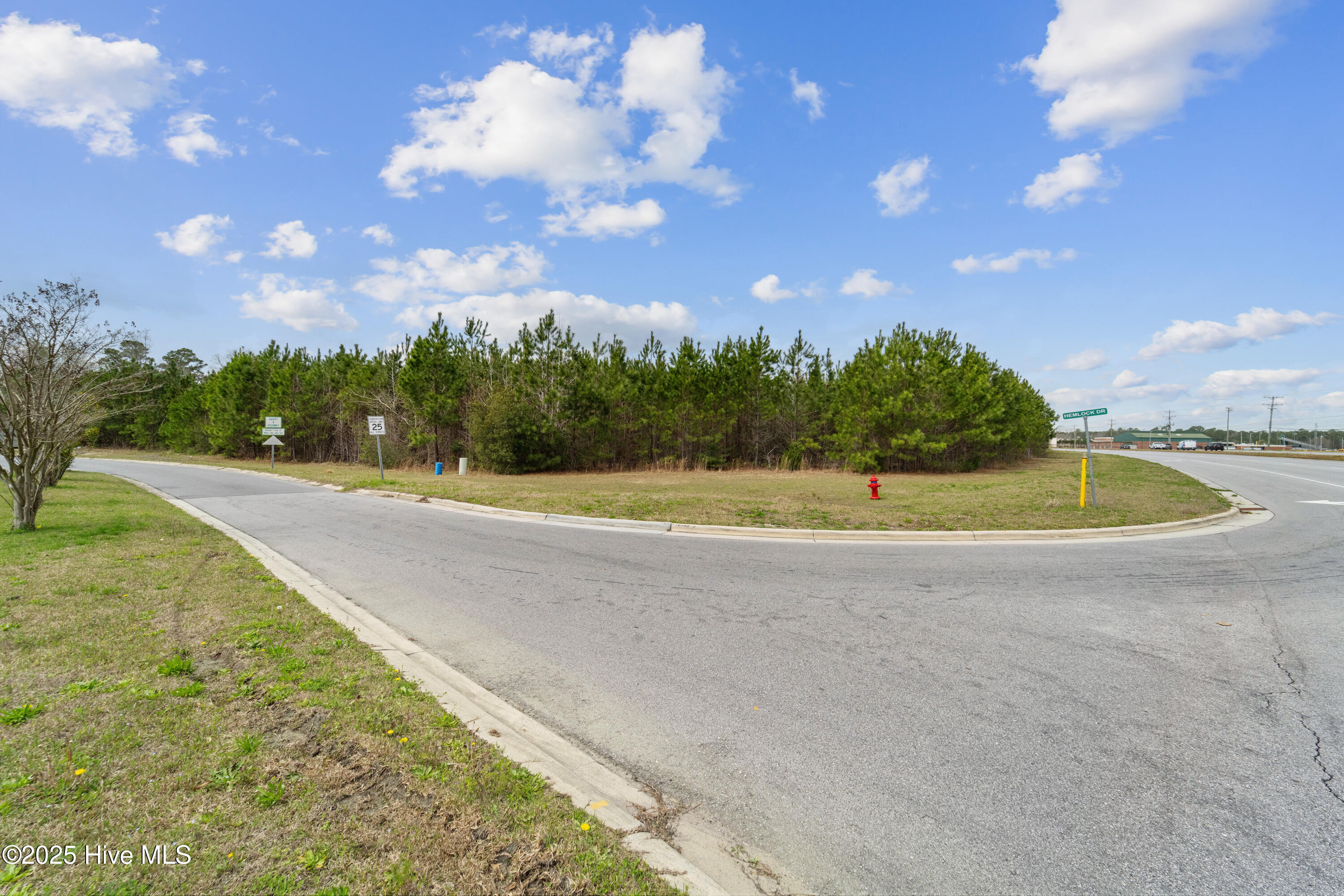 1130 Piney Green Road Property Photo 6