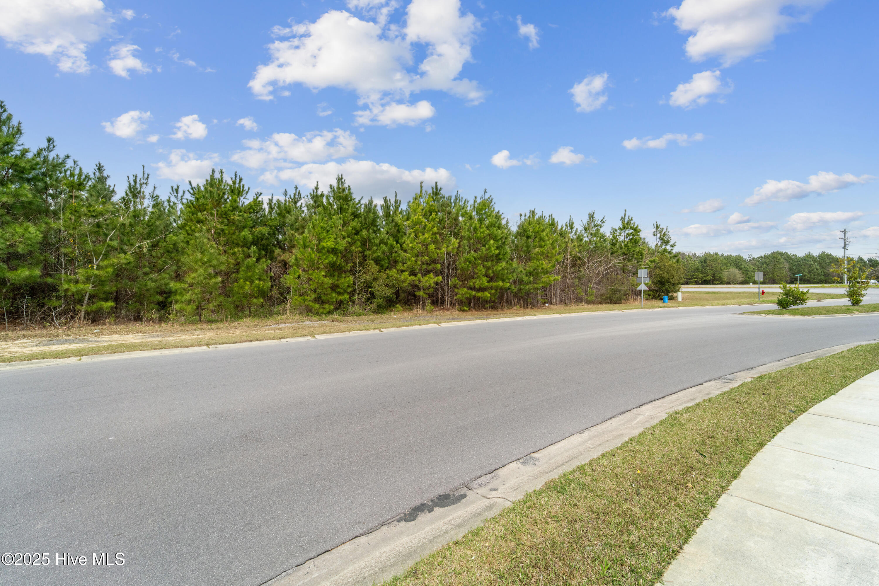 1130 Piney Green Road Property Photo 12