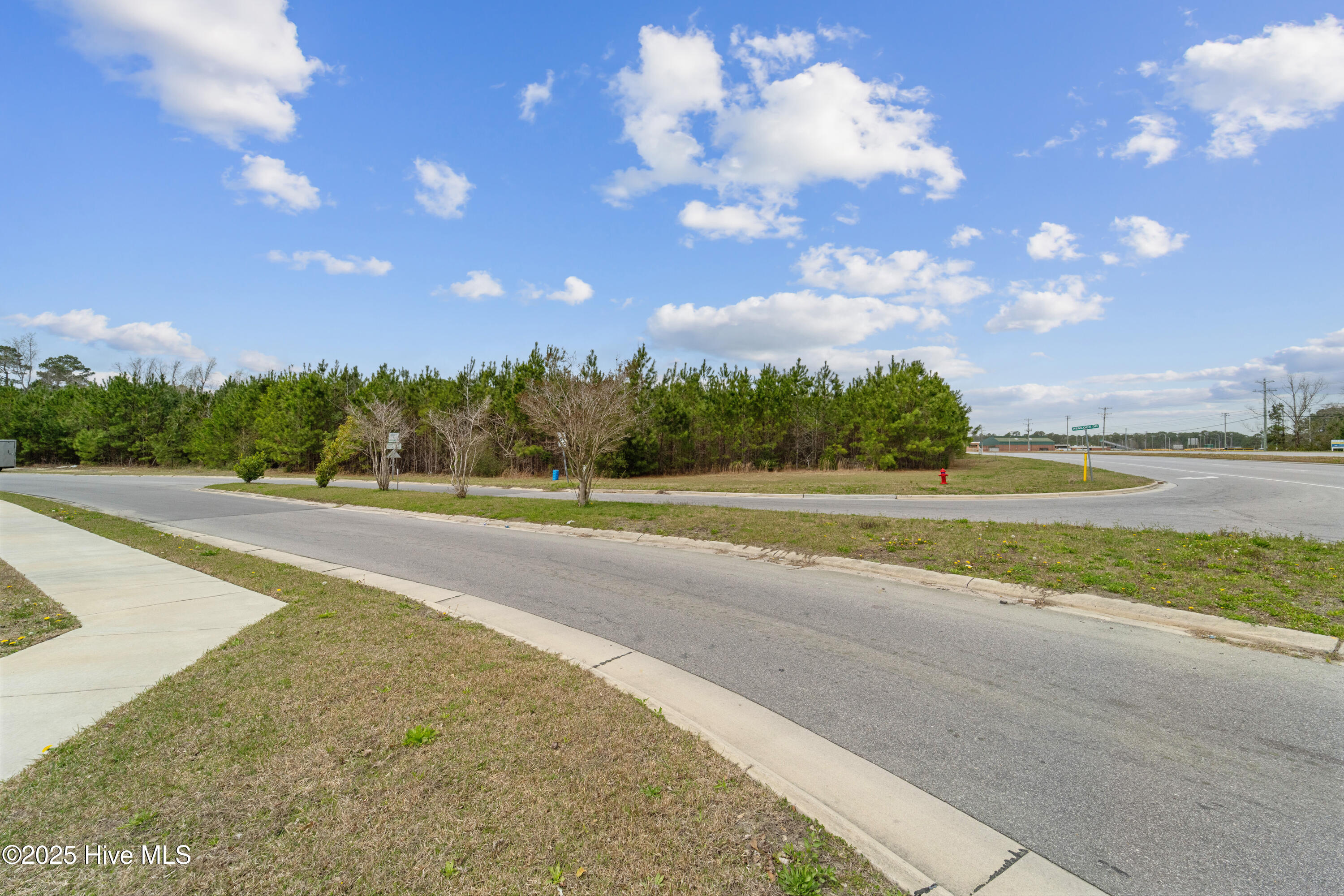 1130 Piney Green Road Property Photo 13
