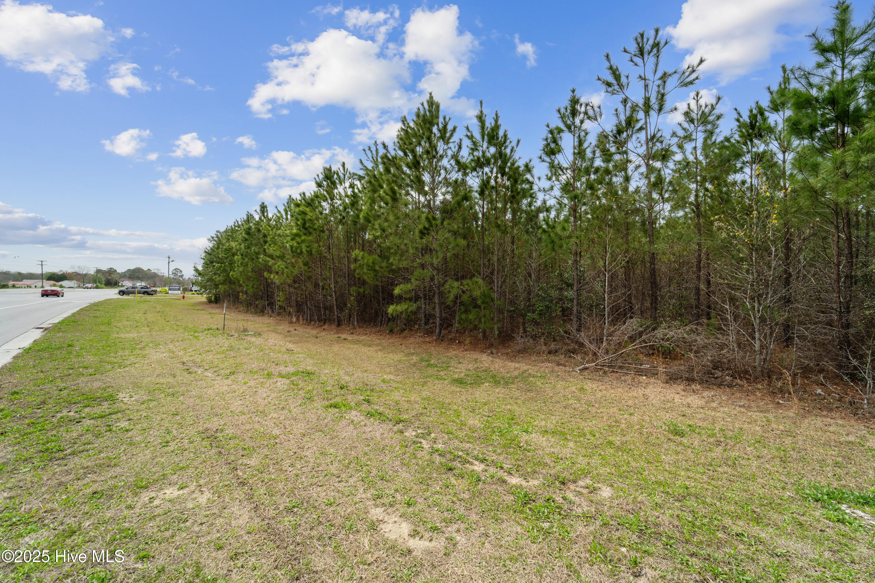 1130 Piney Green Road Property Photo 15