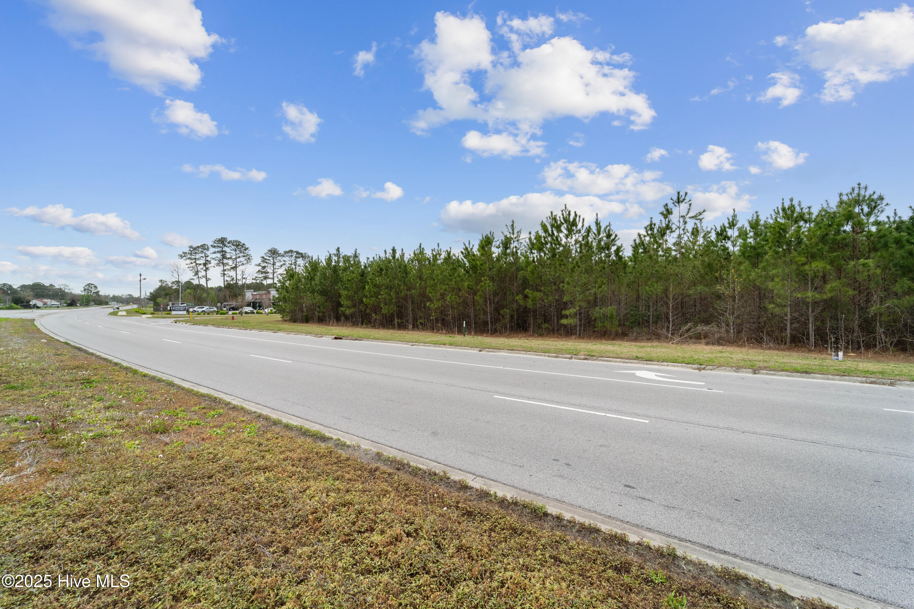 1130 Piney Green Road Property Photo 16