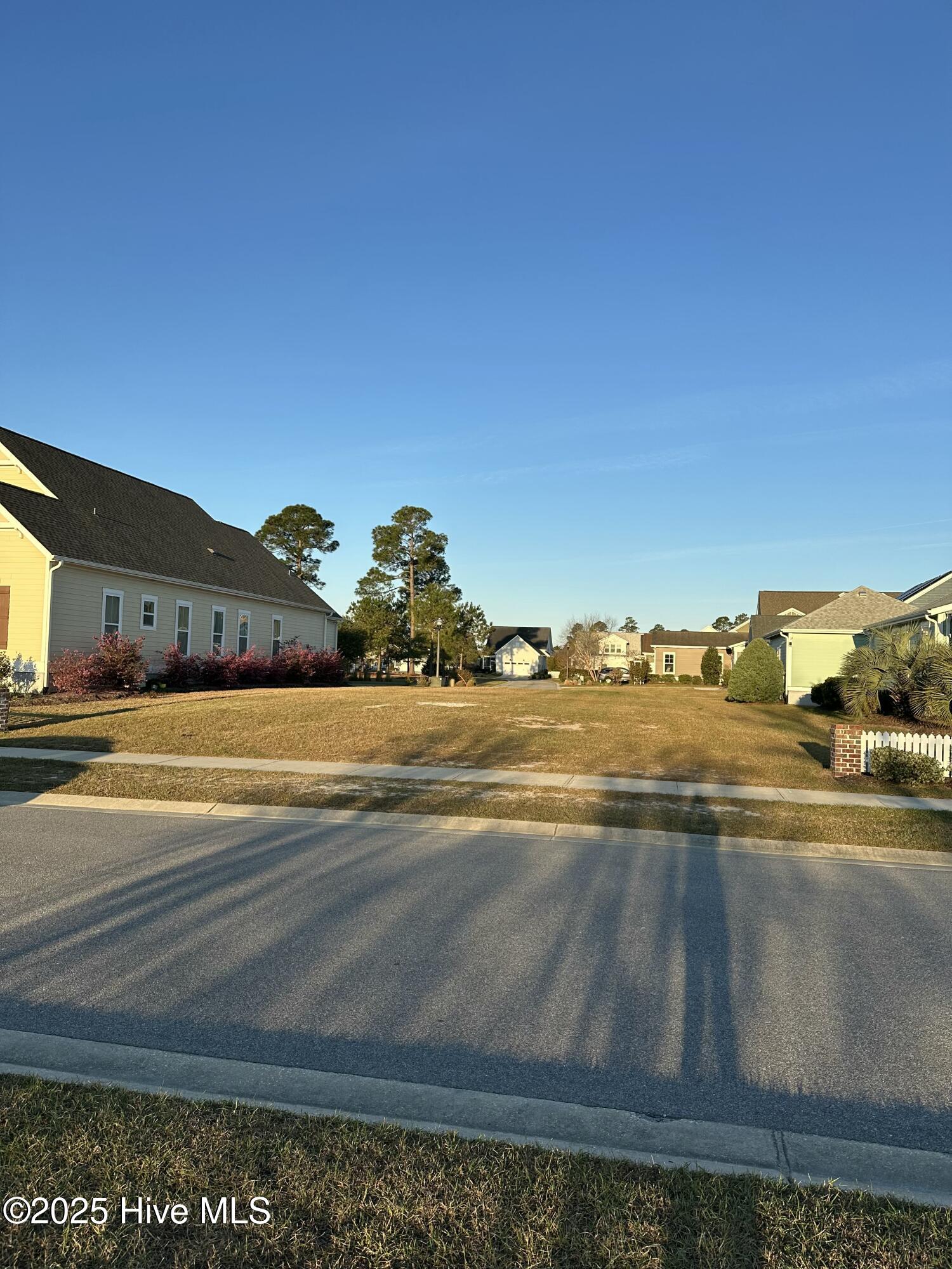 1315 Star Grass Way Property Photo 2