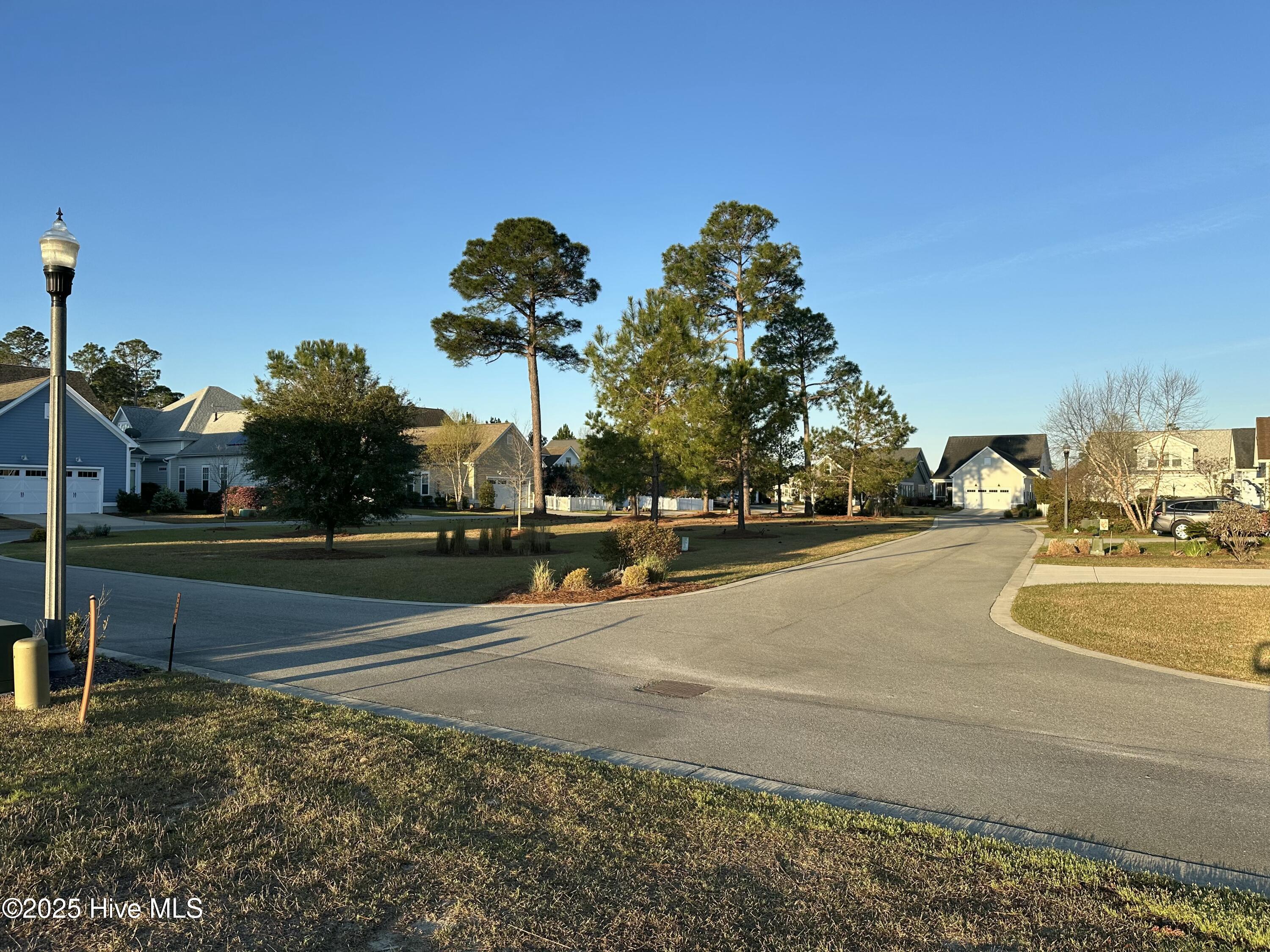 1315 Star Grass Way Property Photo 3
