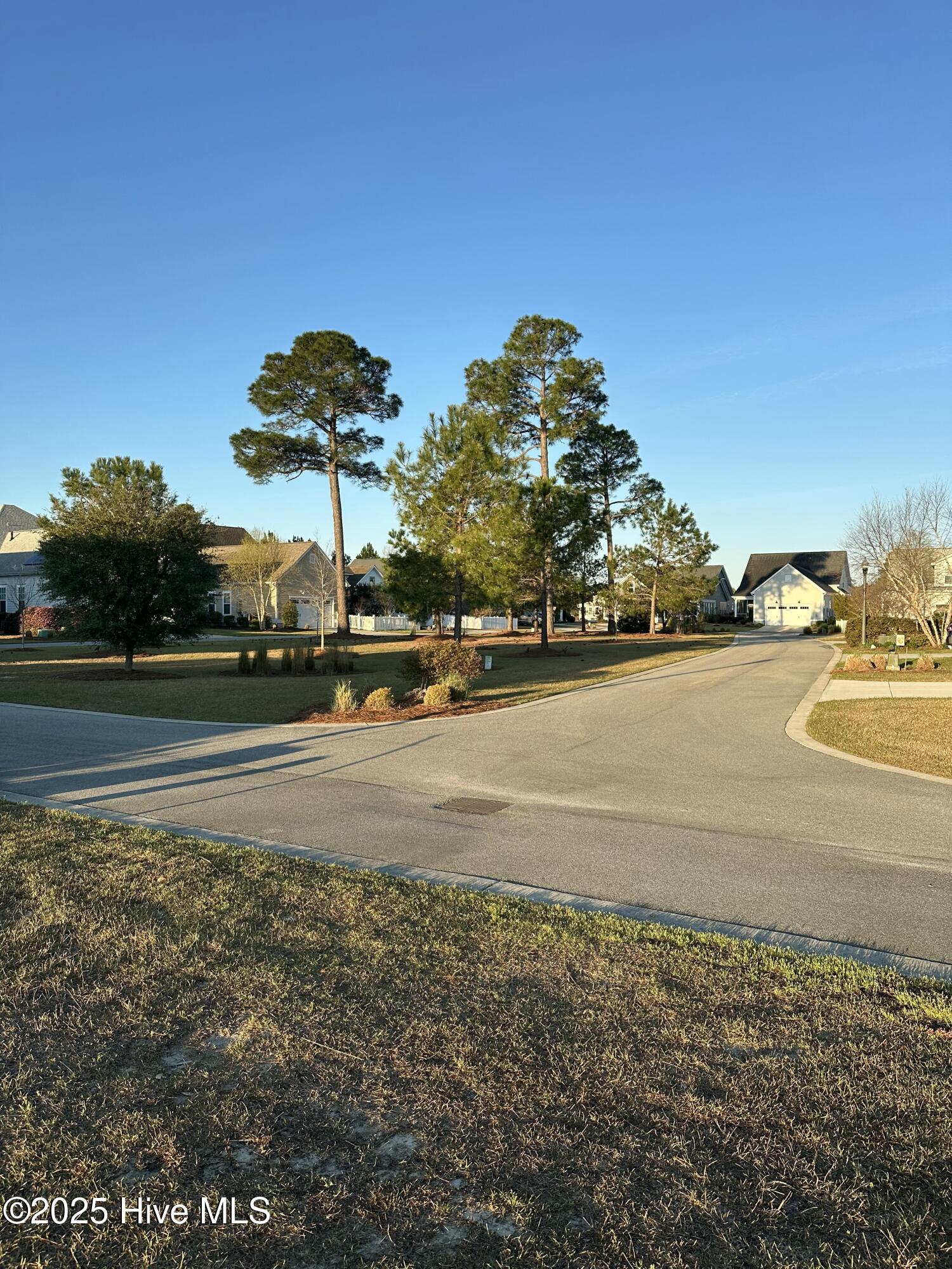 1315 Star Grass Way Property Photo 4