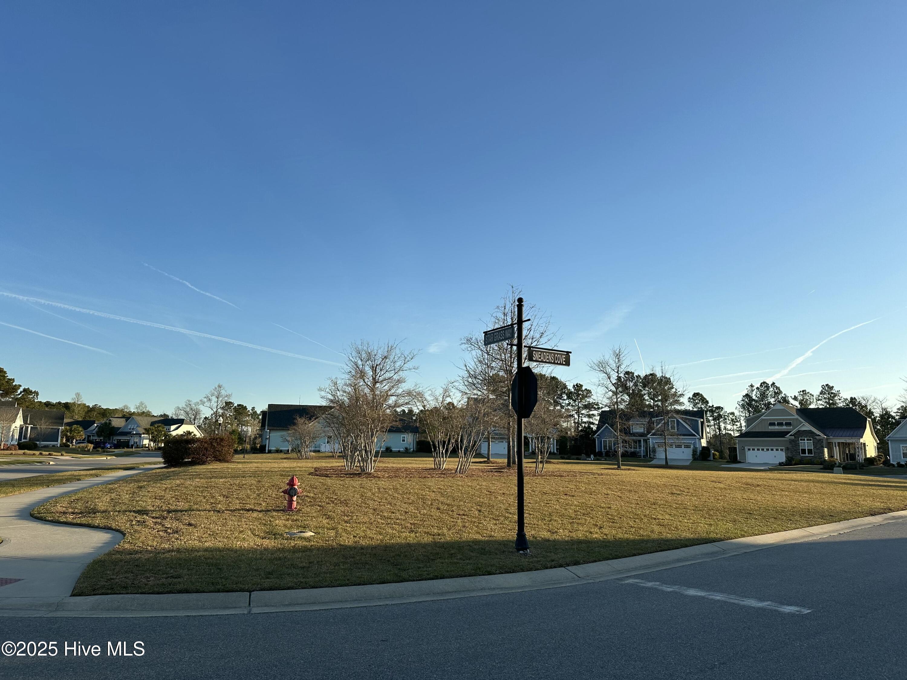 1315 Star Grass Way Property Photo 5
