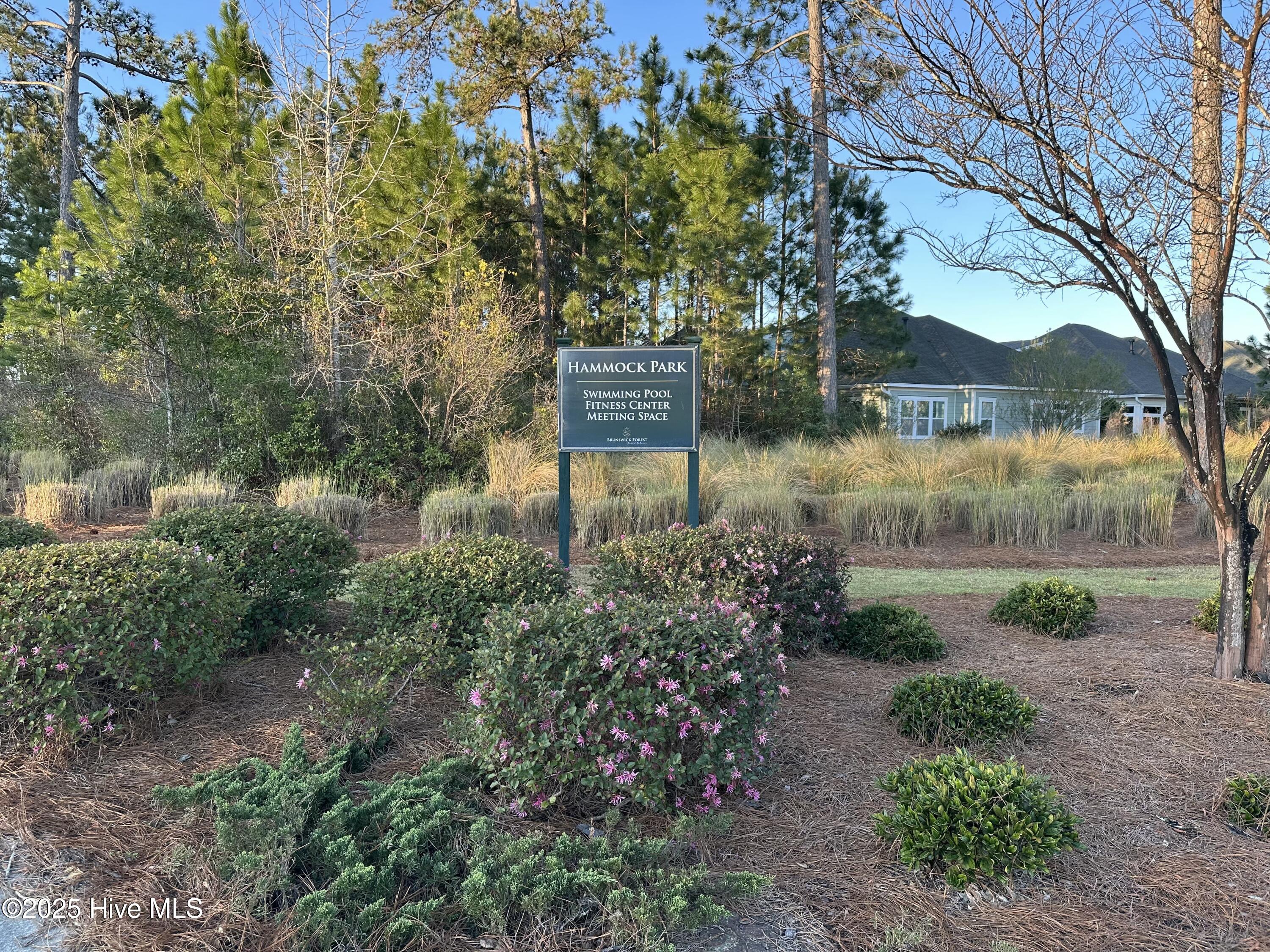 1315 Star Grass Way Property Photo 6