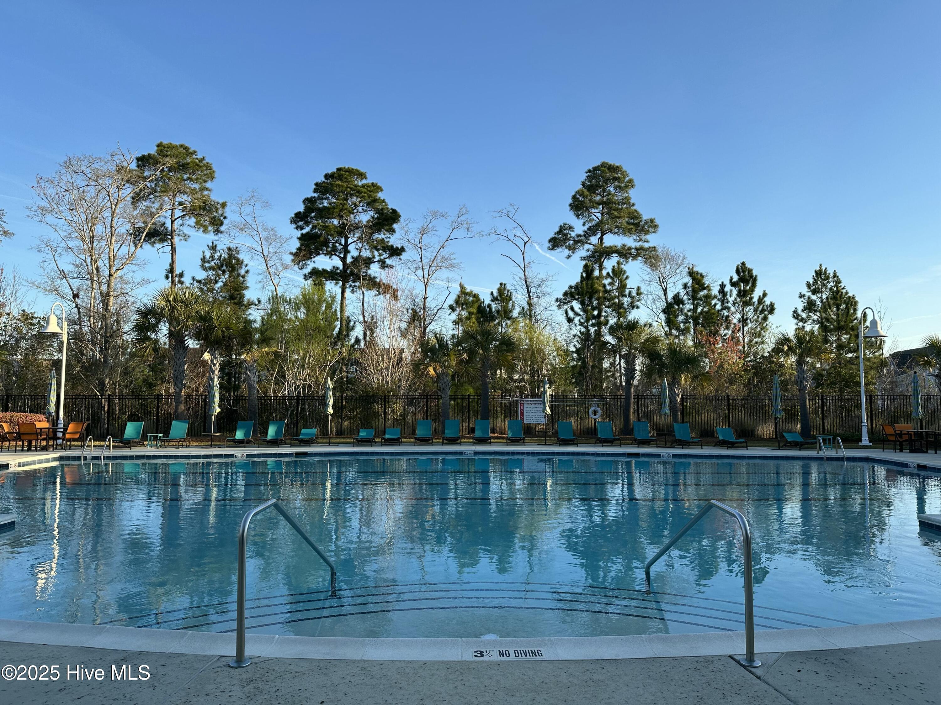 1315 Star Grass Way Property Photo 8