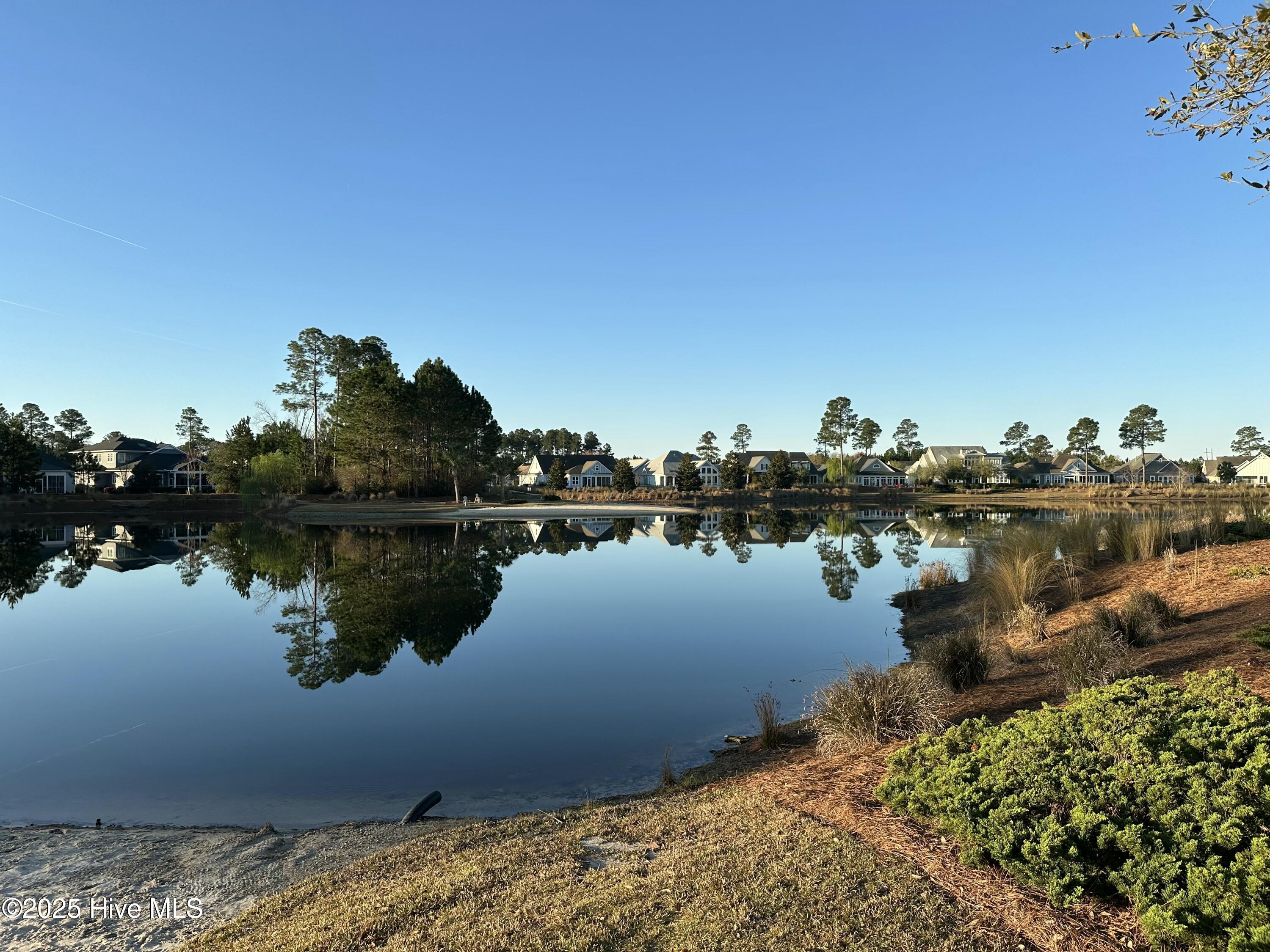 1315 Star Grass Way Property Photo 11