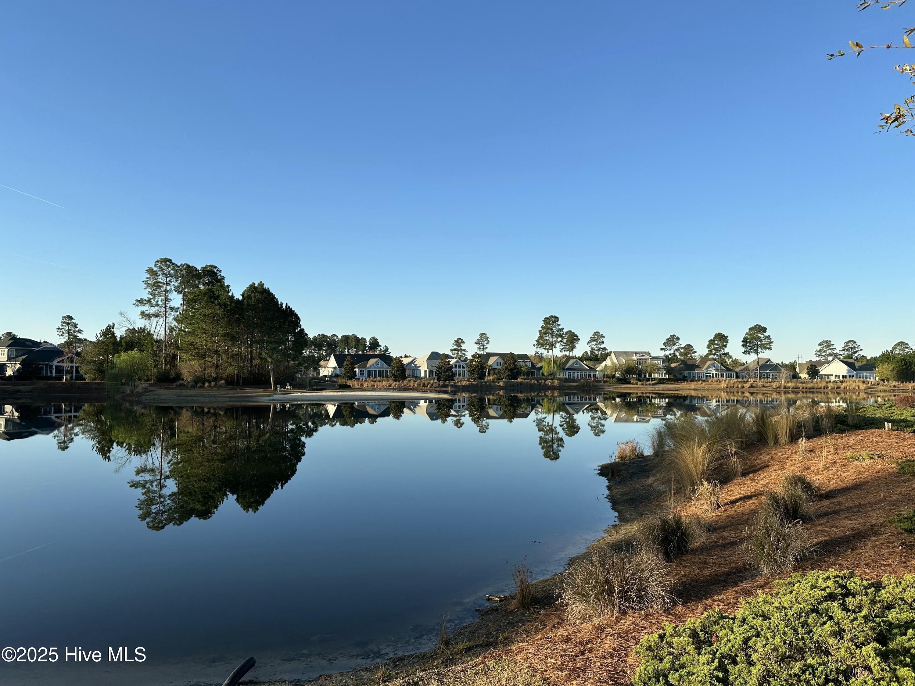 1315 Star Grass Way Property Photo 12