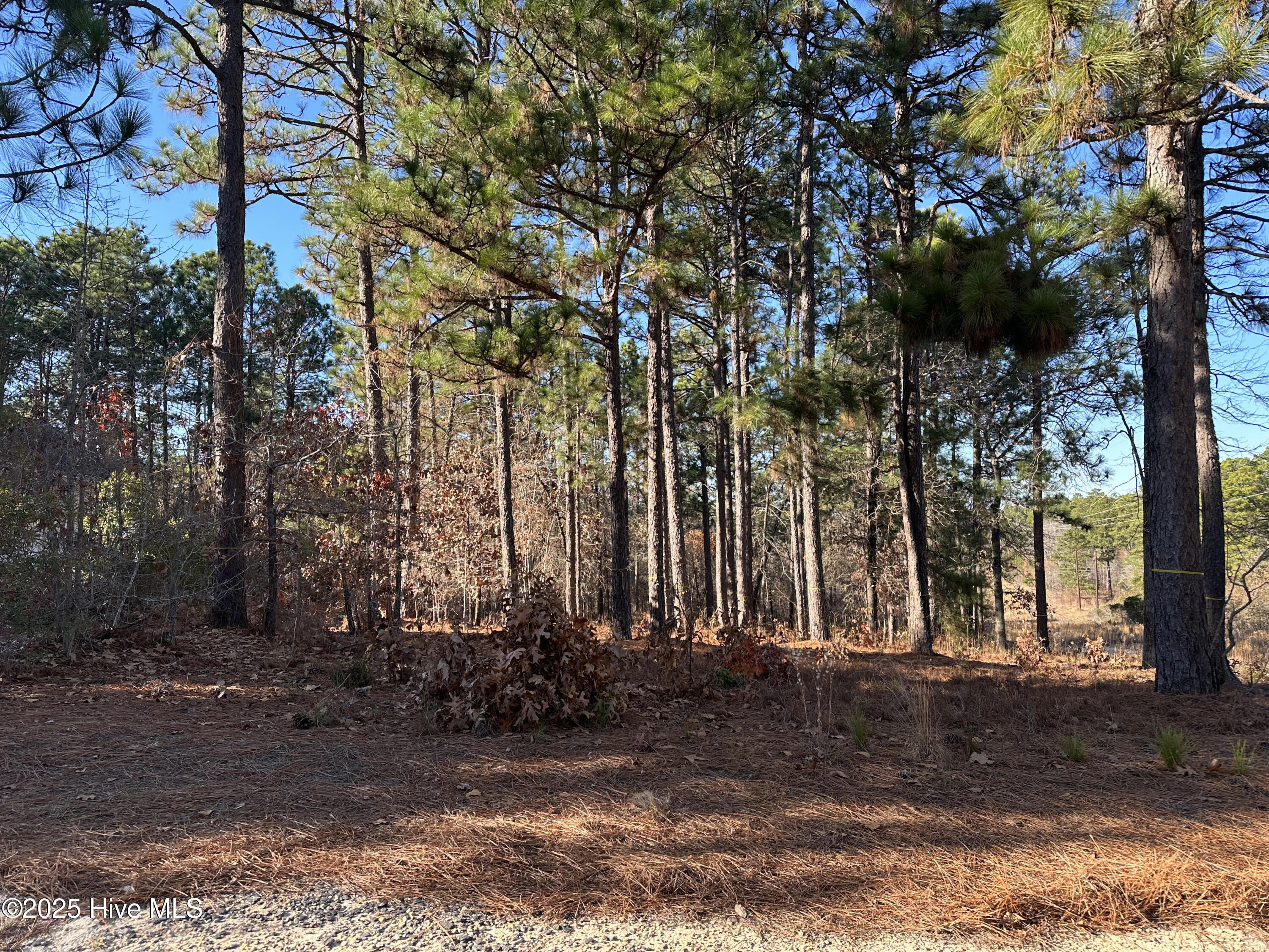 26 Kilbride Drive Property Photo