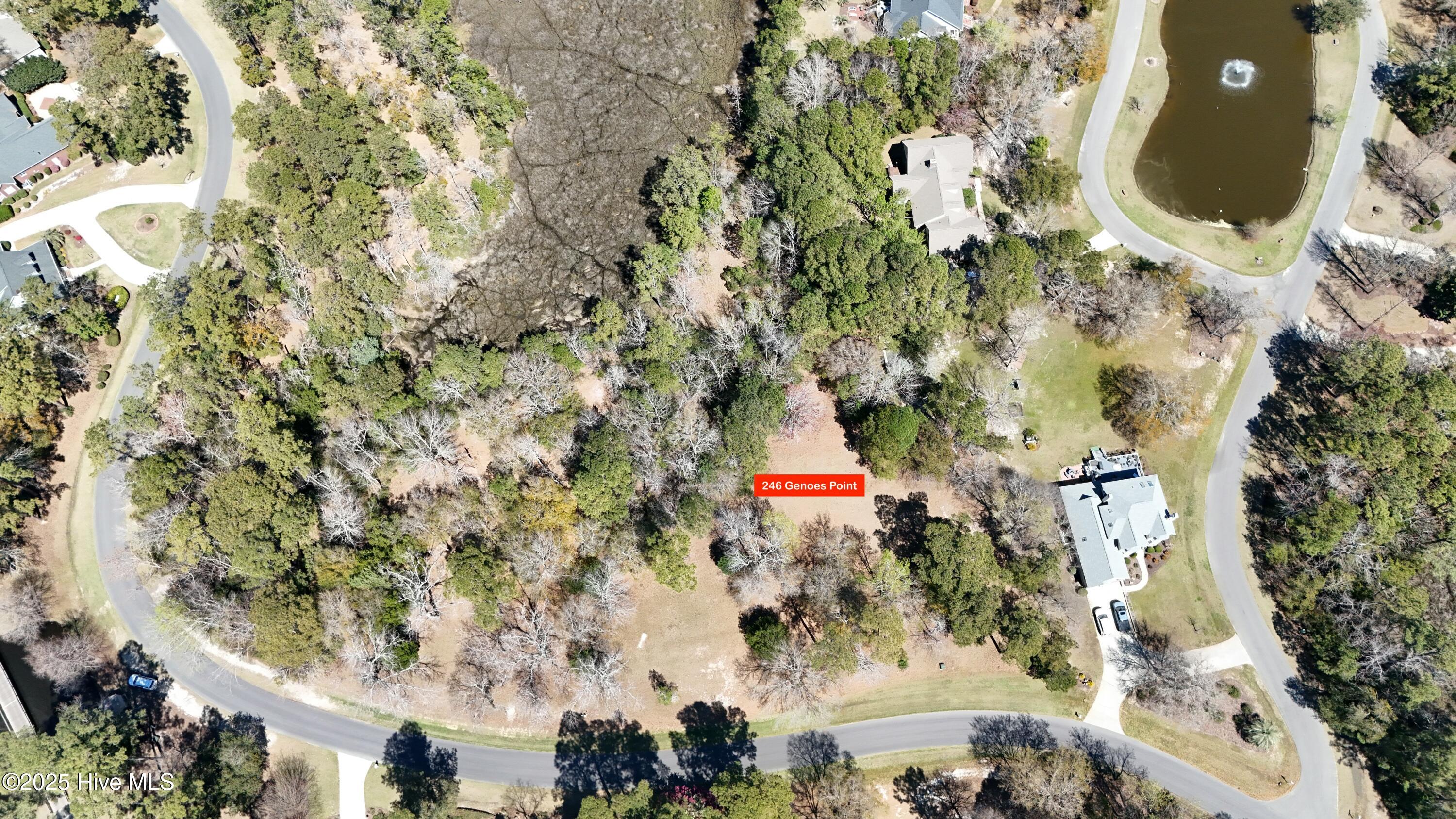 246 Genoes Point Road Property Photo 3
