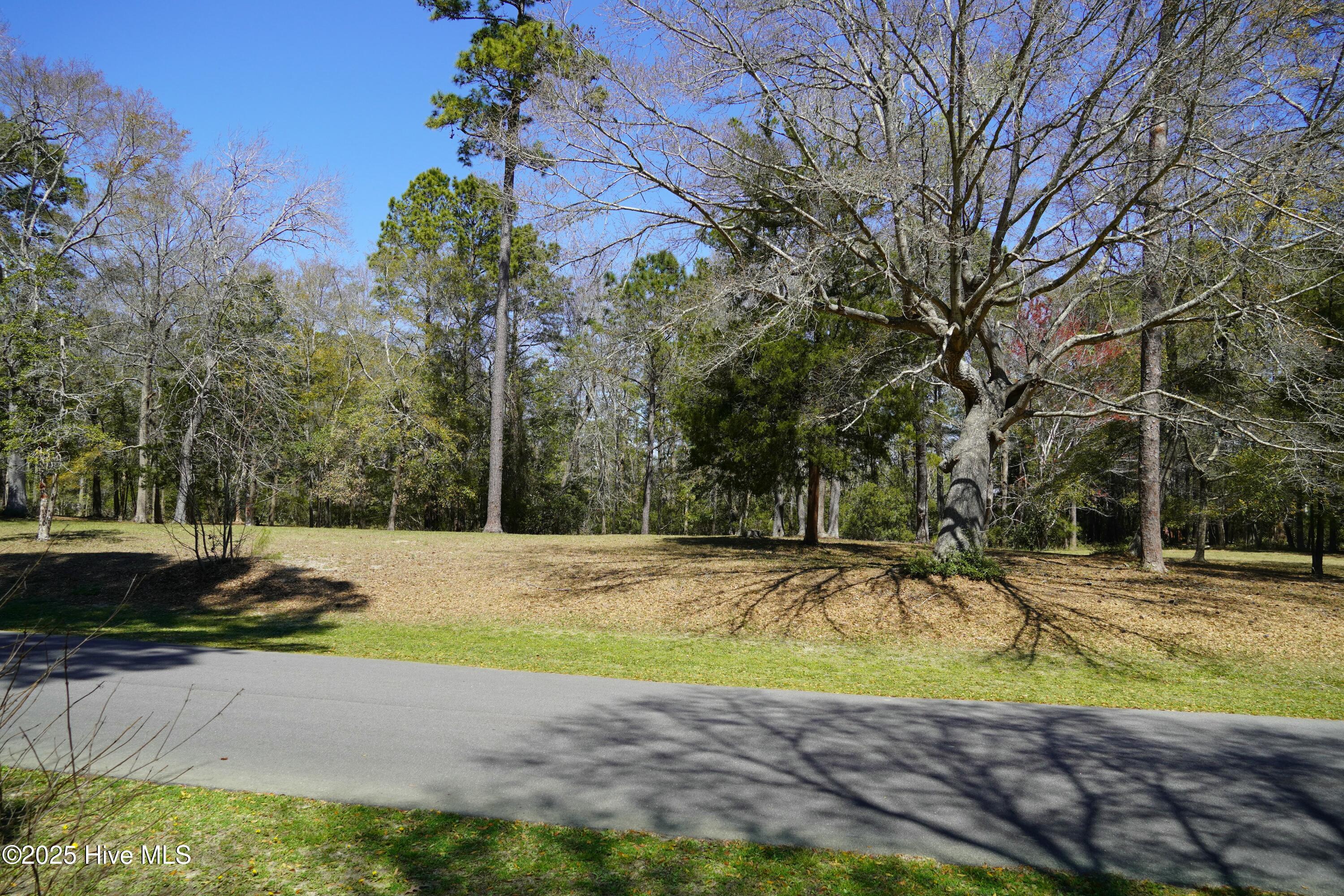 246 Genoes Point Road Property Photo 7