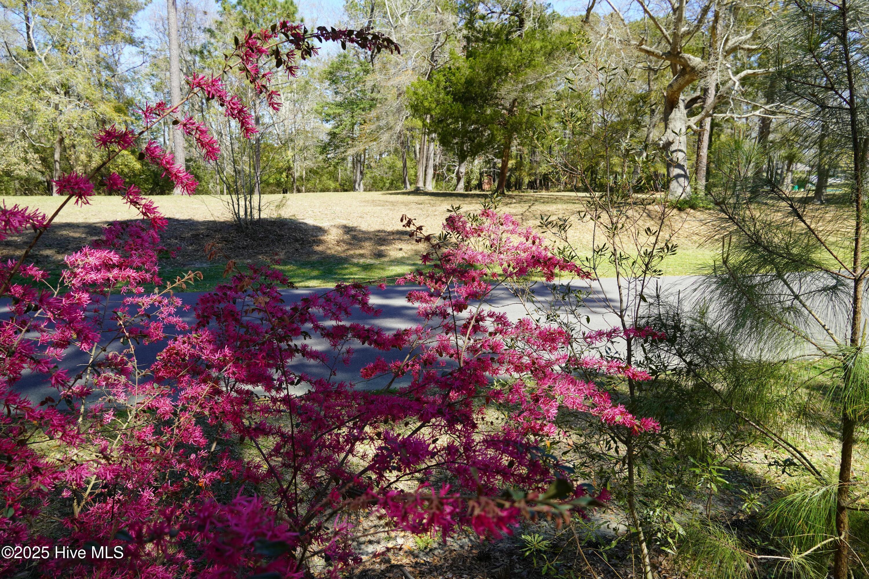 246 Genoes Point Road Property Photo 8