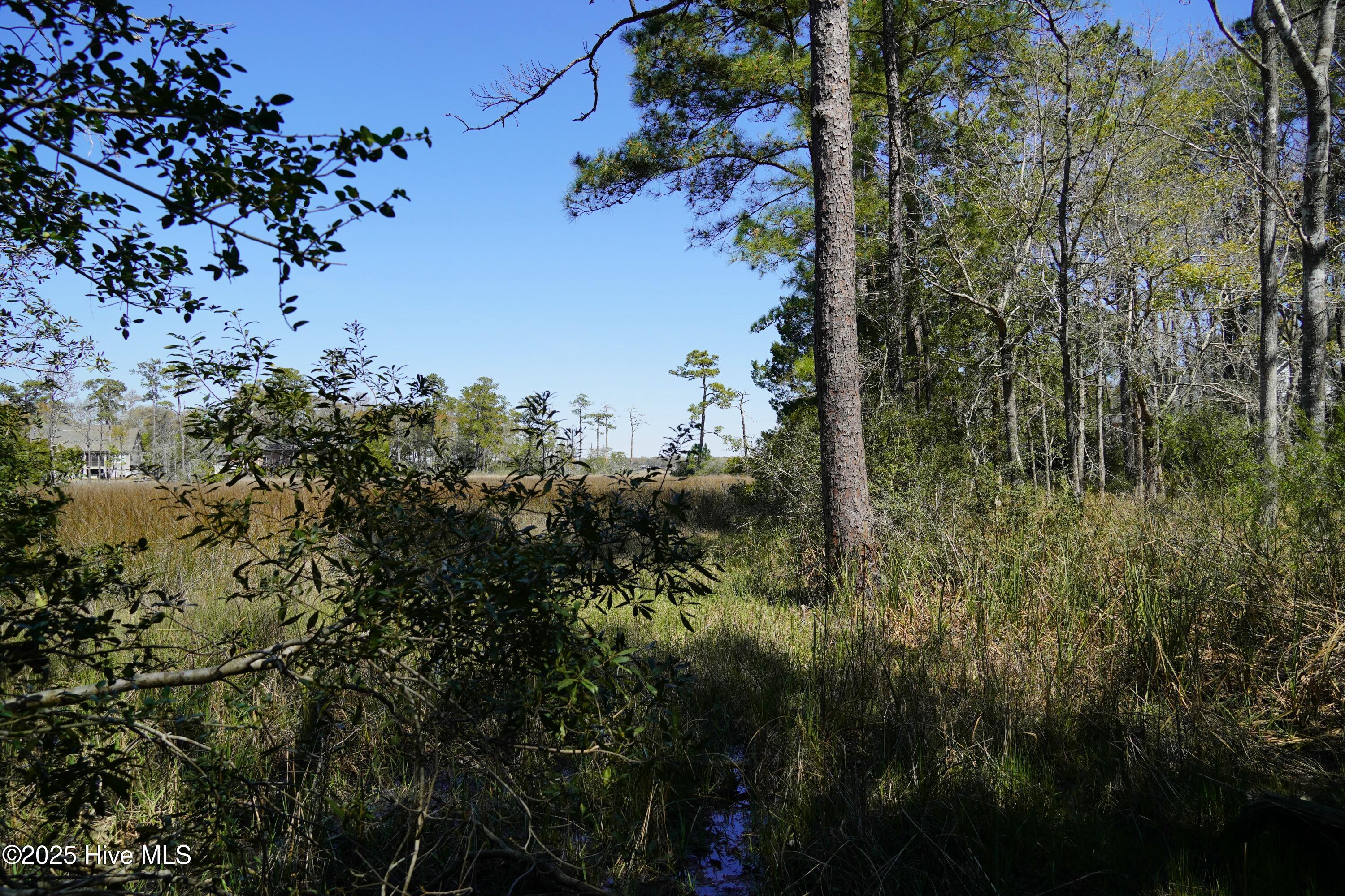 246 Genoes Point Road Property Photo 11