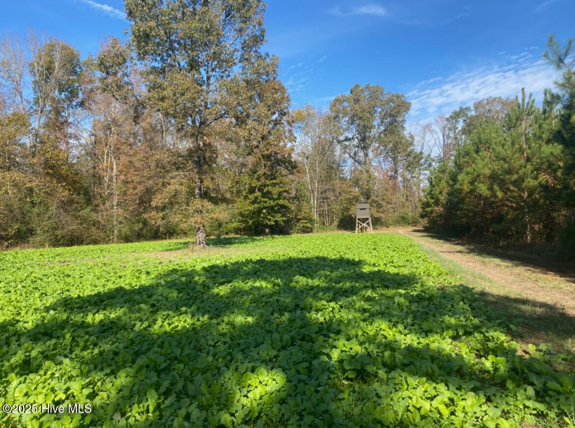 0 River Road Property Photo 2