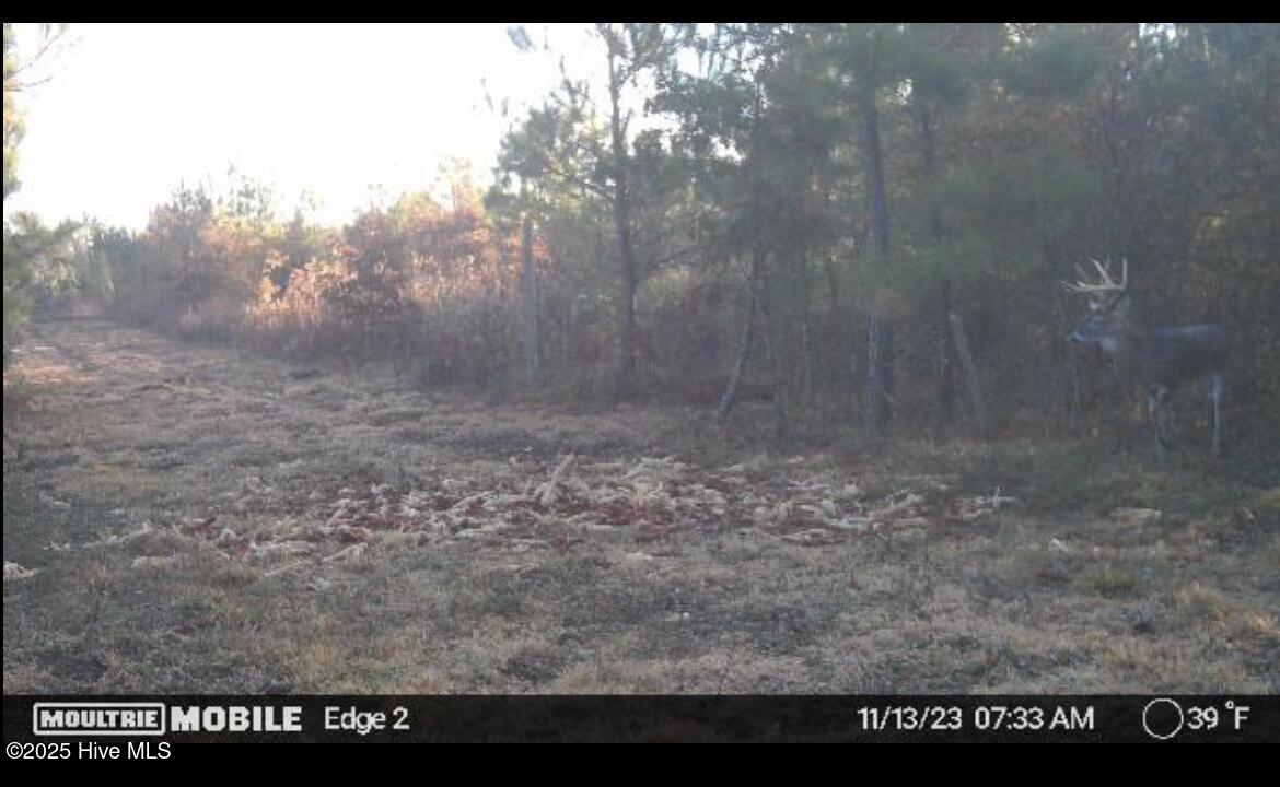 0 River Road Property Photo 3