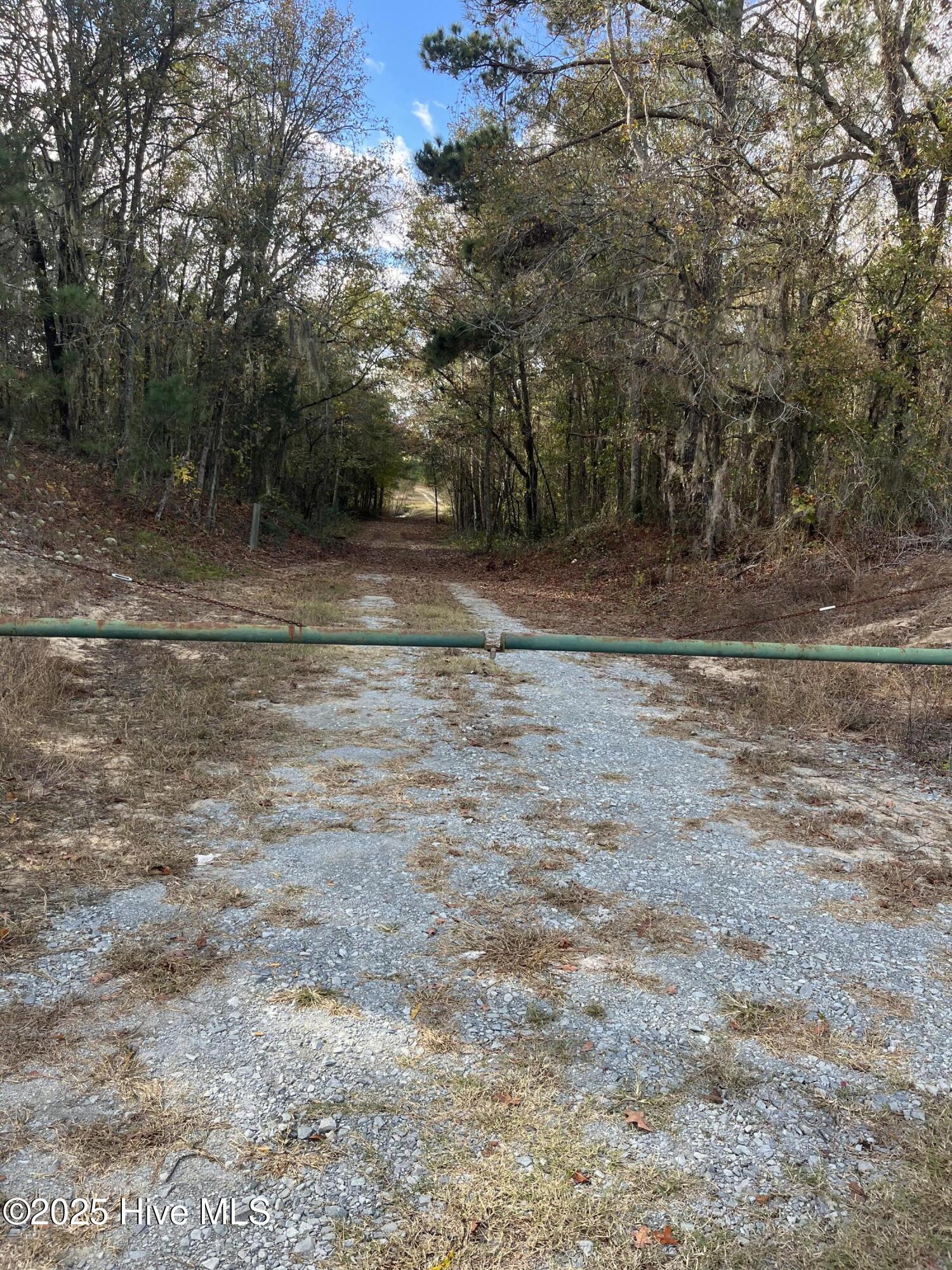 0 River Road Property Photo 4